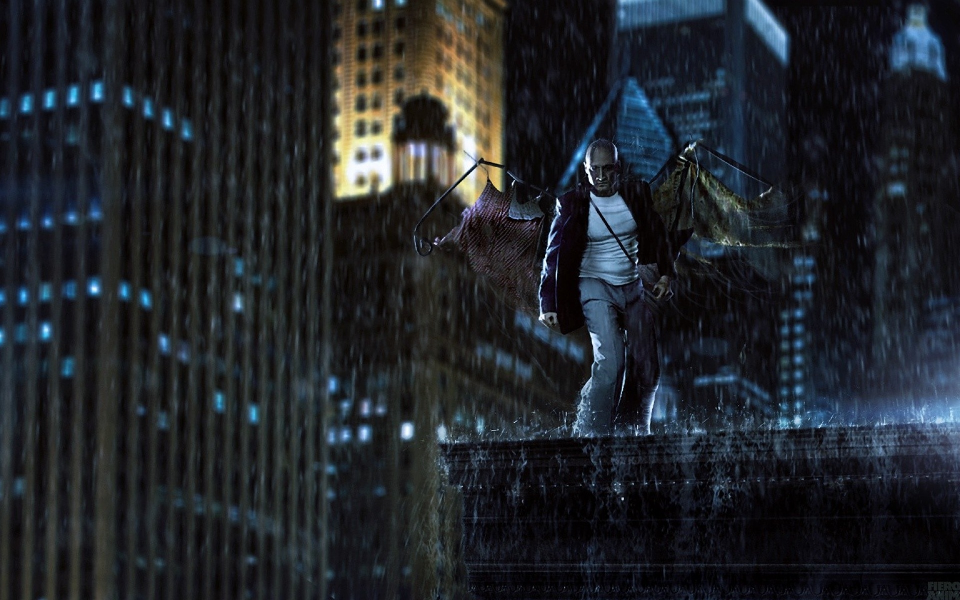 俄罗斯,FIERO,ANIMALS,设计,作品,创意,2012Y十一月04D