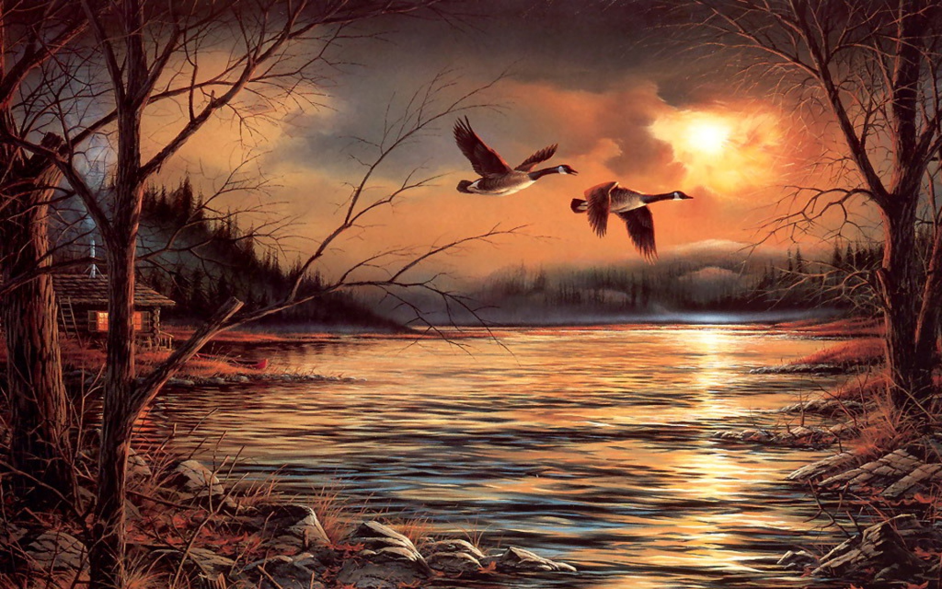 动物,绘画,风格,2012Y十一月10D,儿童桌面专用