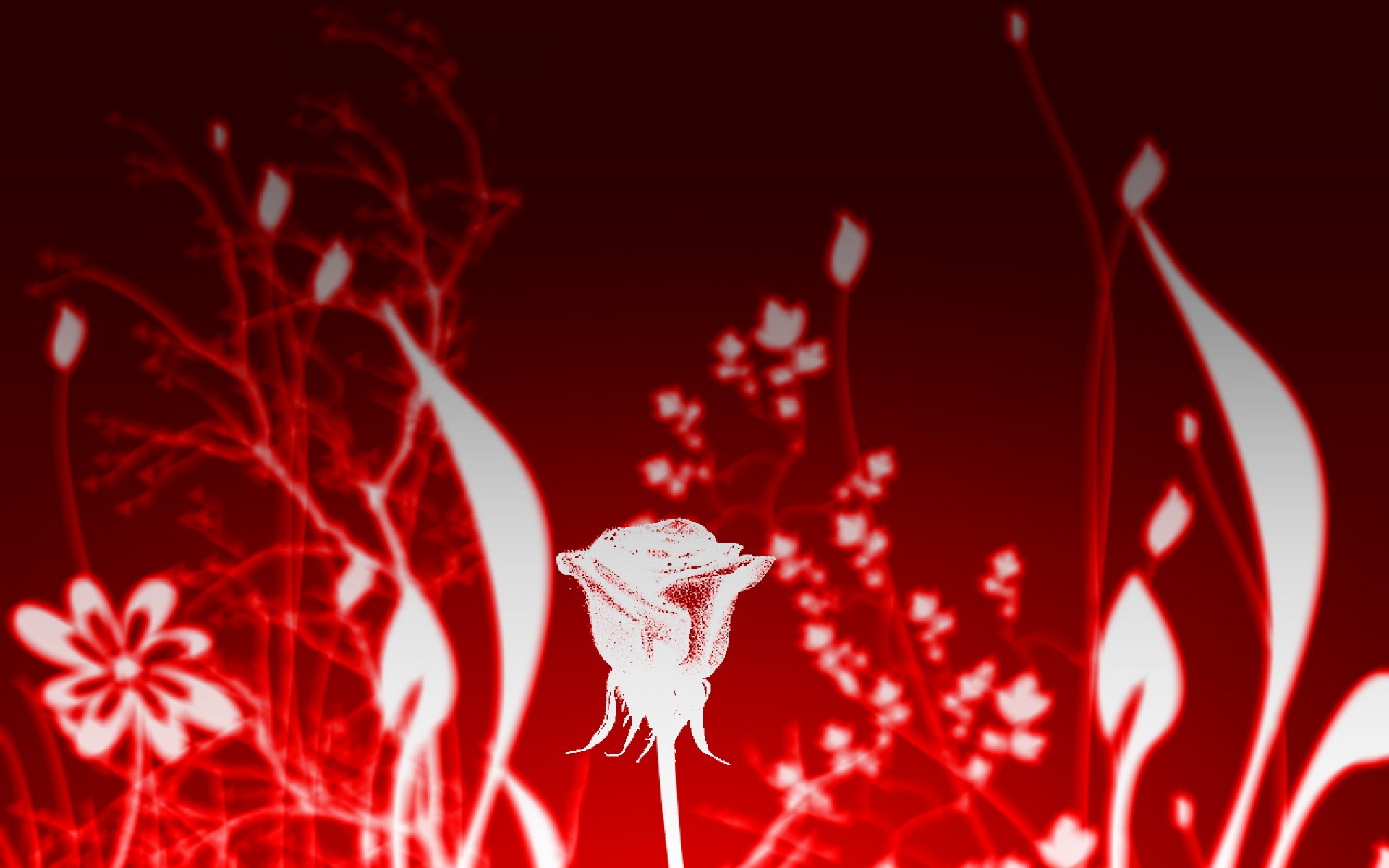 炫彩,红色,儿童桌面专用