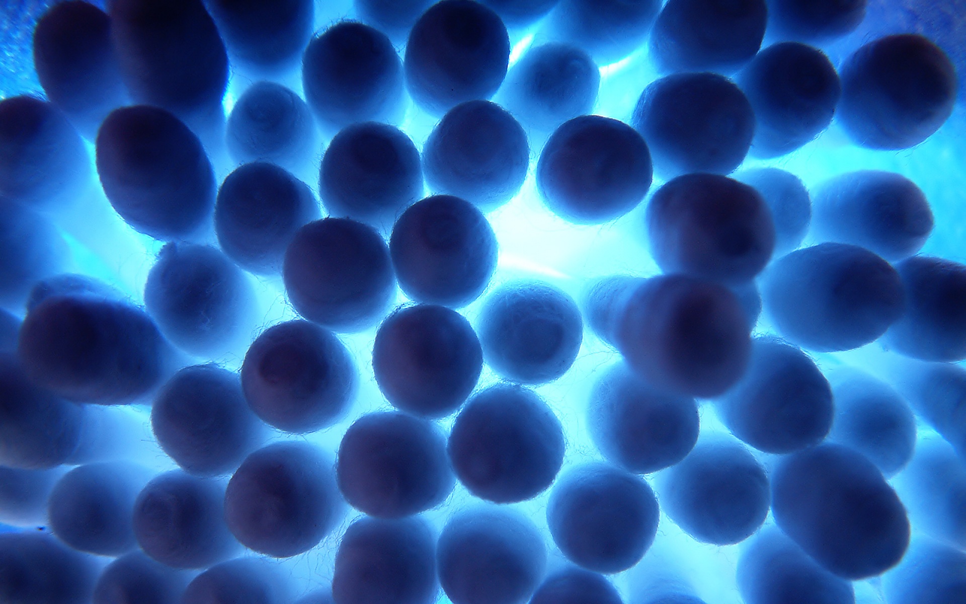 socksoff,设计,高清,经典,2012Y十一月04D,儿童桌面专用