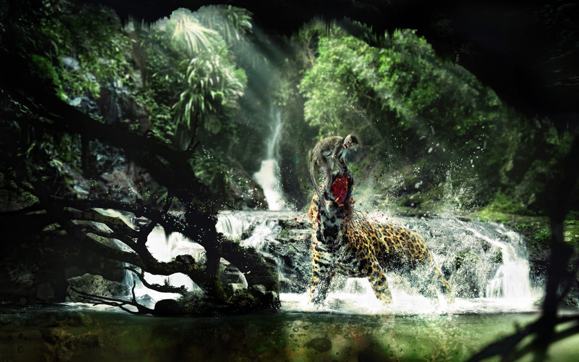 俄罗斯,FIERO,ANIMALS,设计,作品,创意,2012Y十一月08D