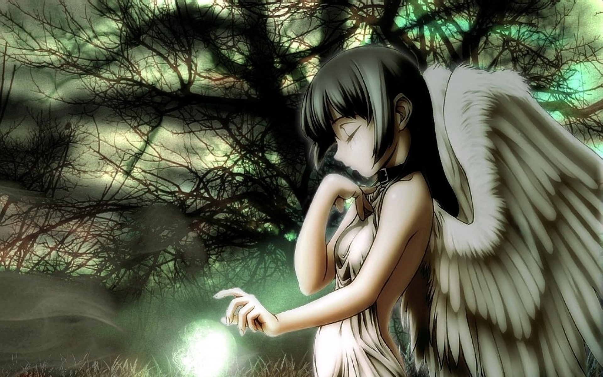 动漫,萝莉,2012Y十一月05D,儿童桌面专用