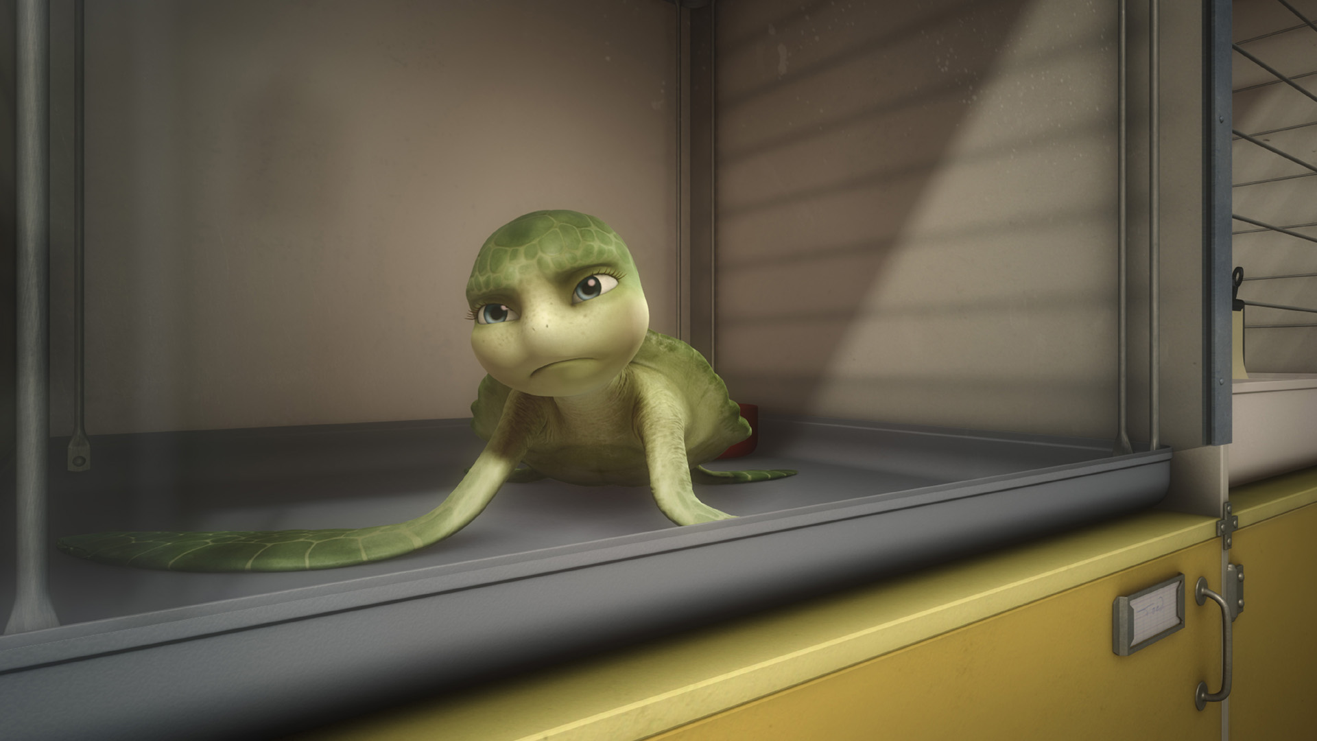 动画,Le,Voyage,extraordinaire,de,Samy,萨米大冒险