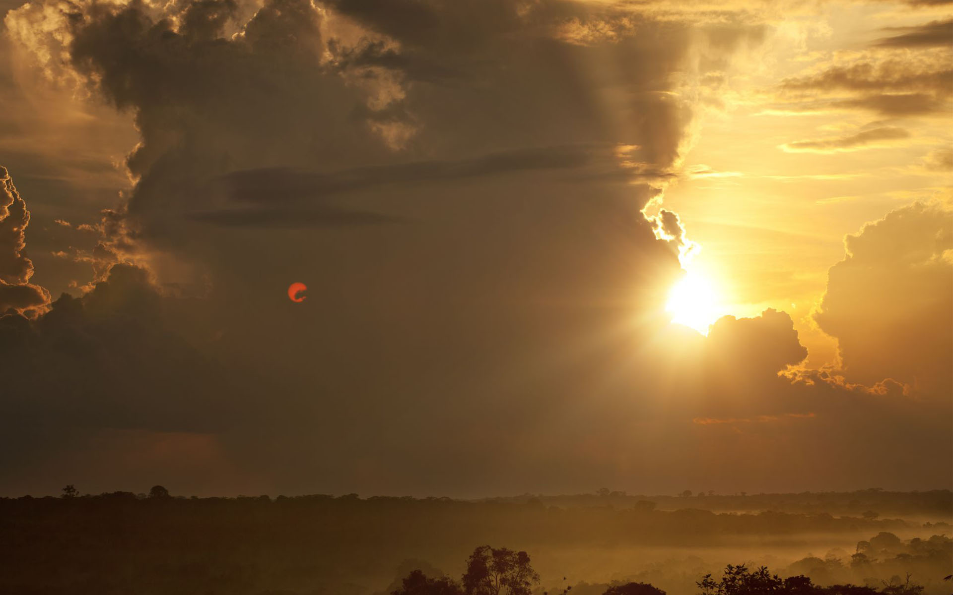 纪录片,Chimpanzee,黑猩猩,2012Y十一月20D