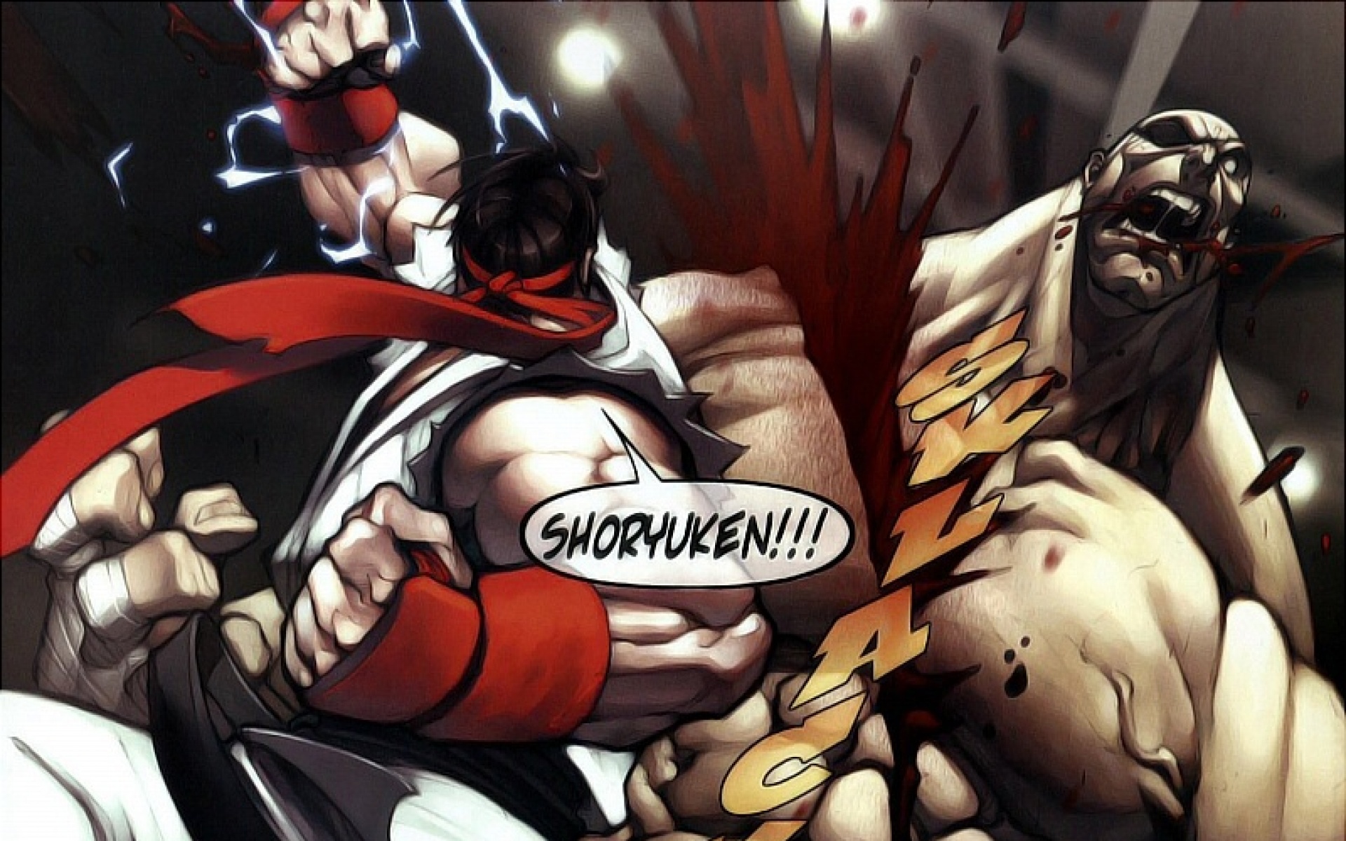 街头,霸王,Street,Fighter,series,游戏,2012Y十一月21D