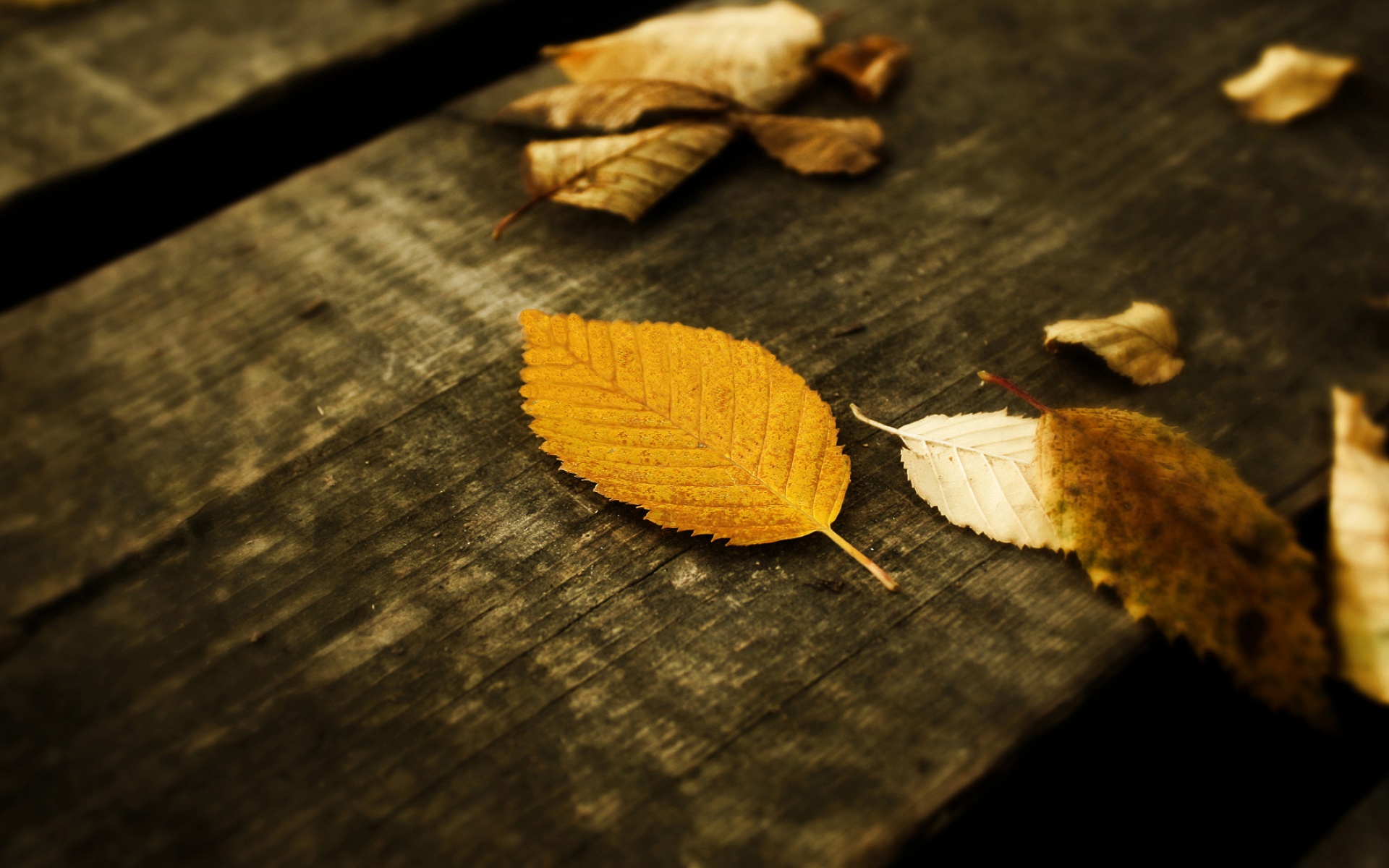 精美,艺术,设计,风光,风景,高清,2012Y十月30D