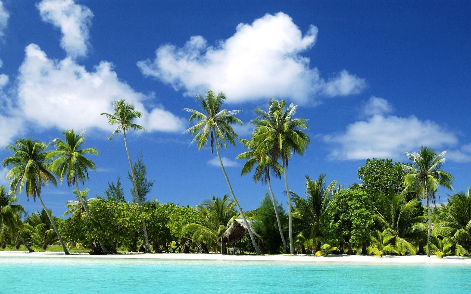 风景,海洋天堂,2012Y十一月04D,儿童桌面专用