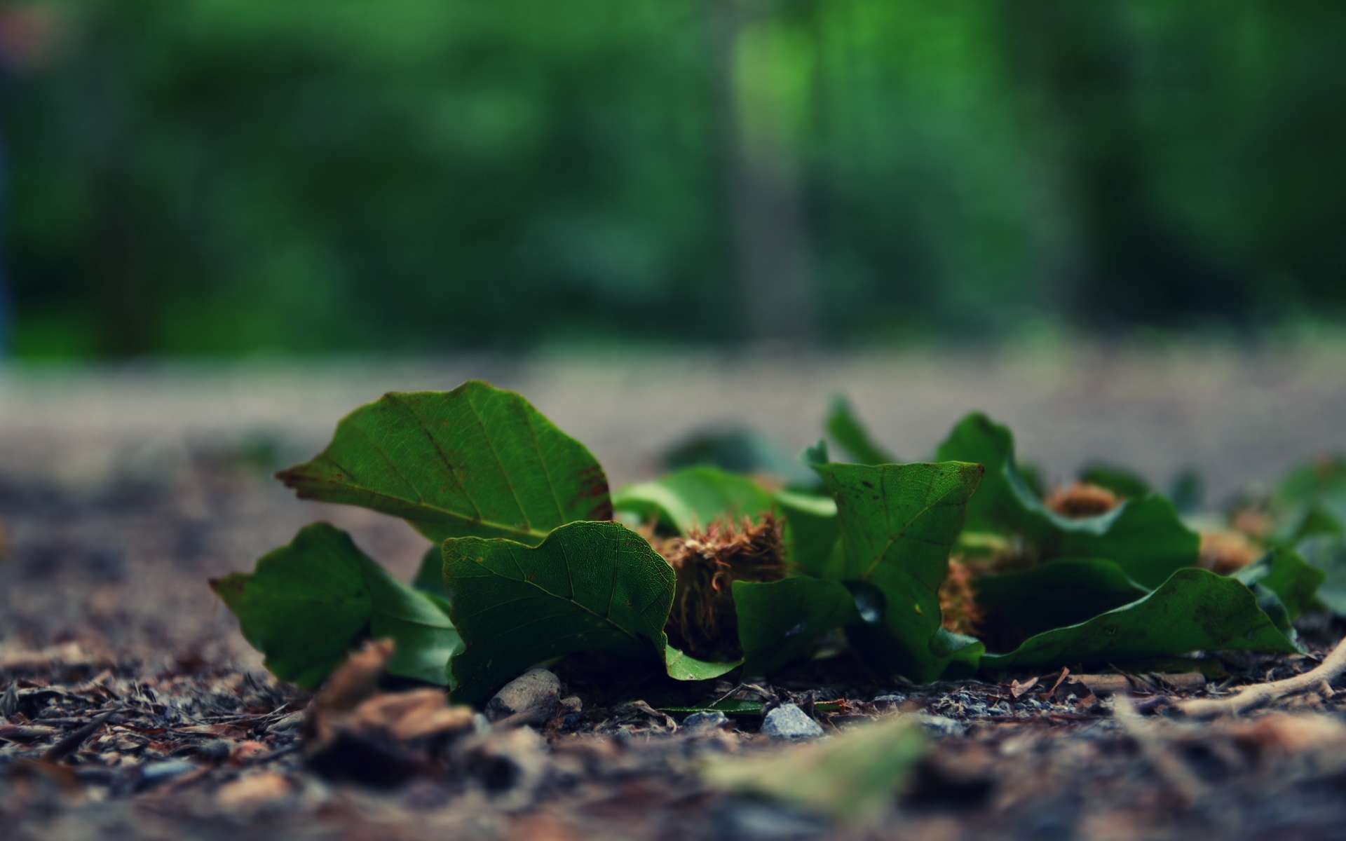 小清新,舒缓压力