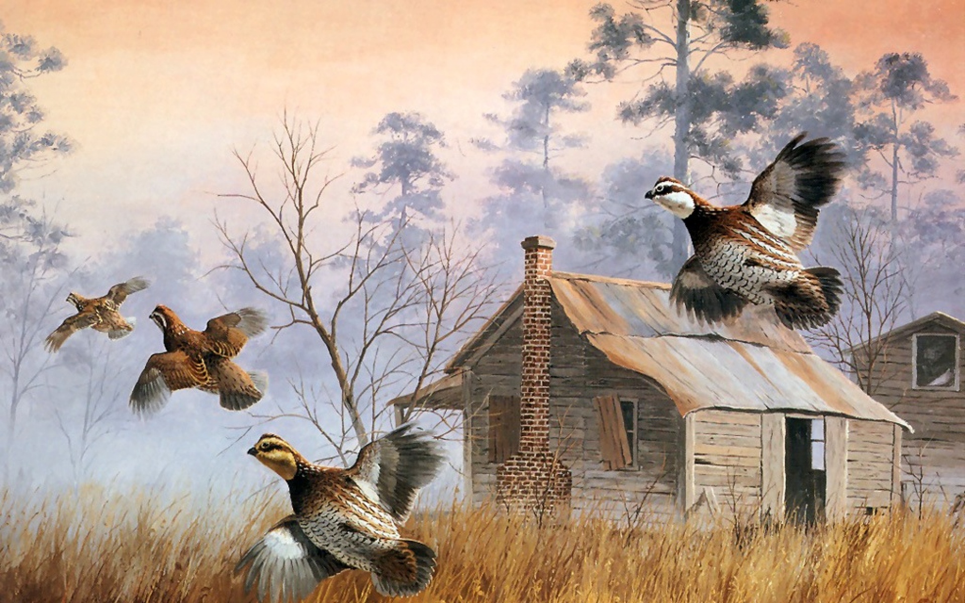 动物,绘画,风格,2012Y十一月05D,儿童桌面专用