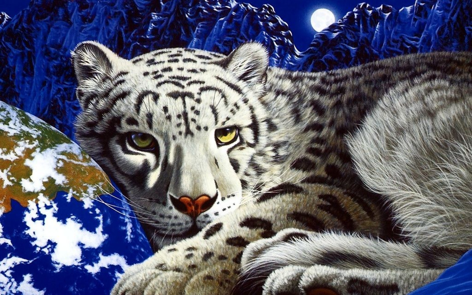 太空,动物,手绘,儿童桌面专用