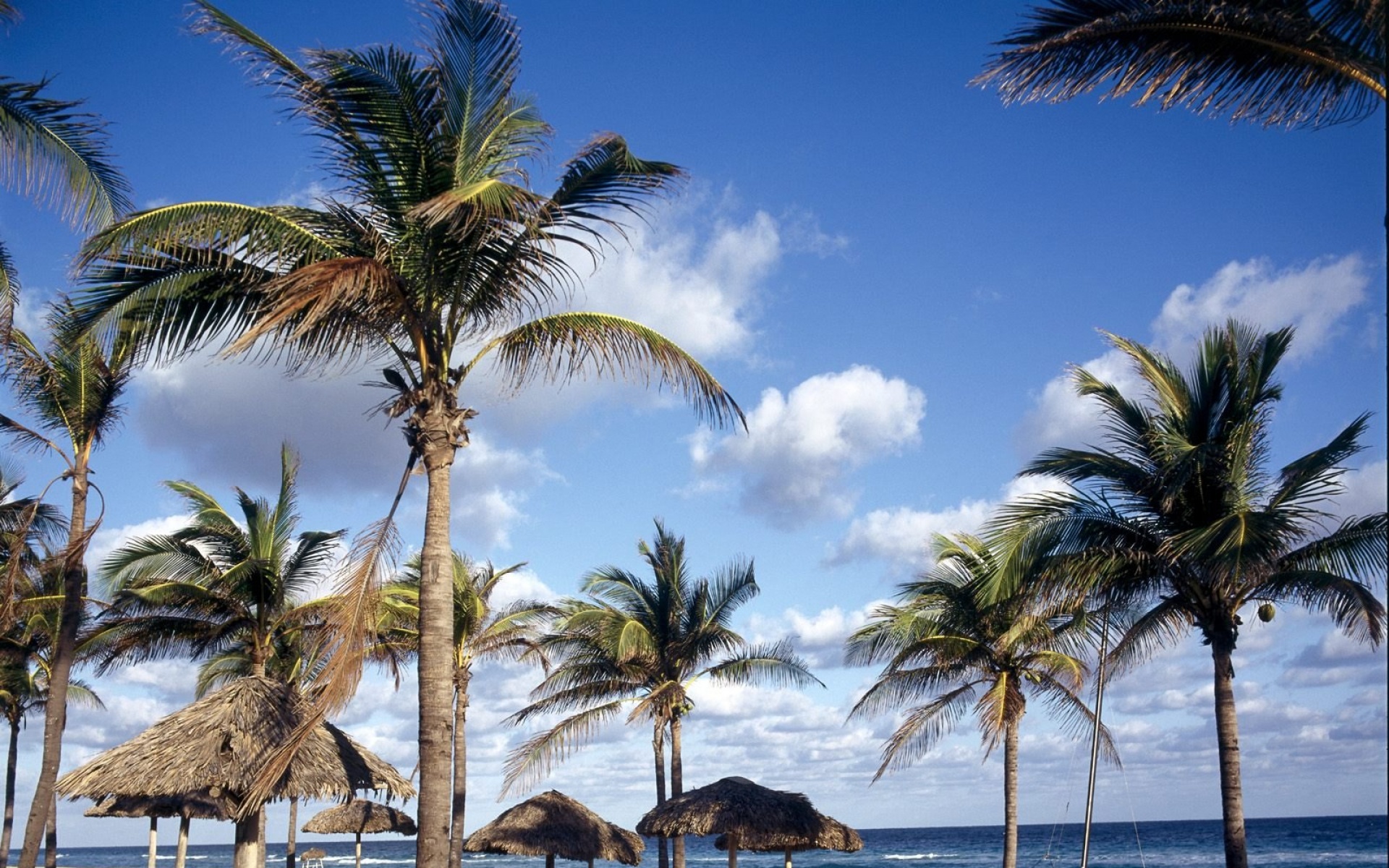 风景,海洋天堂,2012Y十一月04D,儿童桌面专用