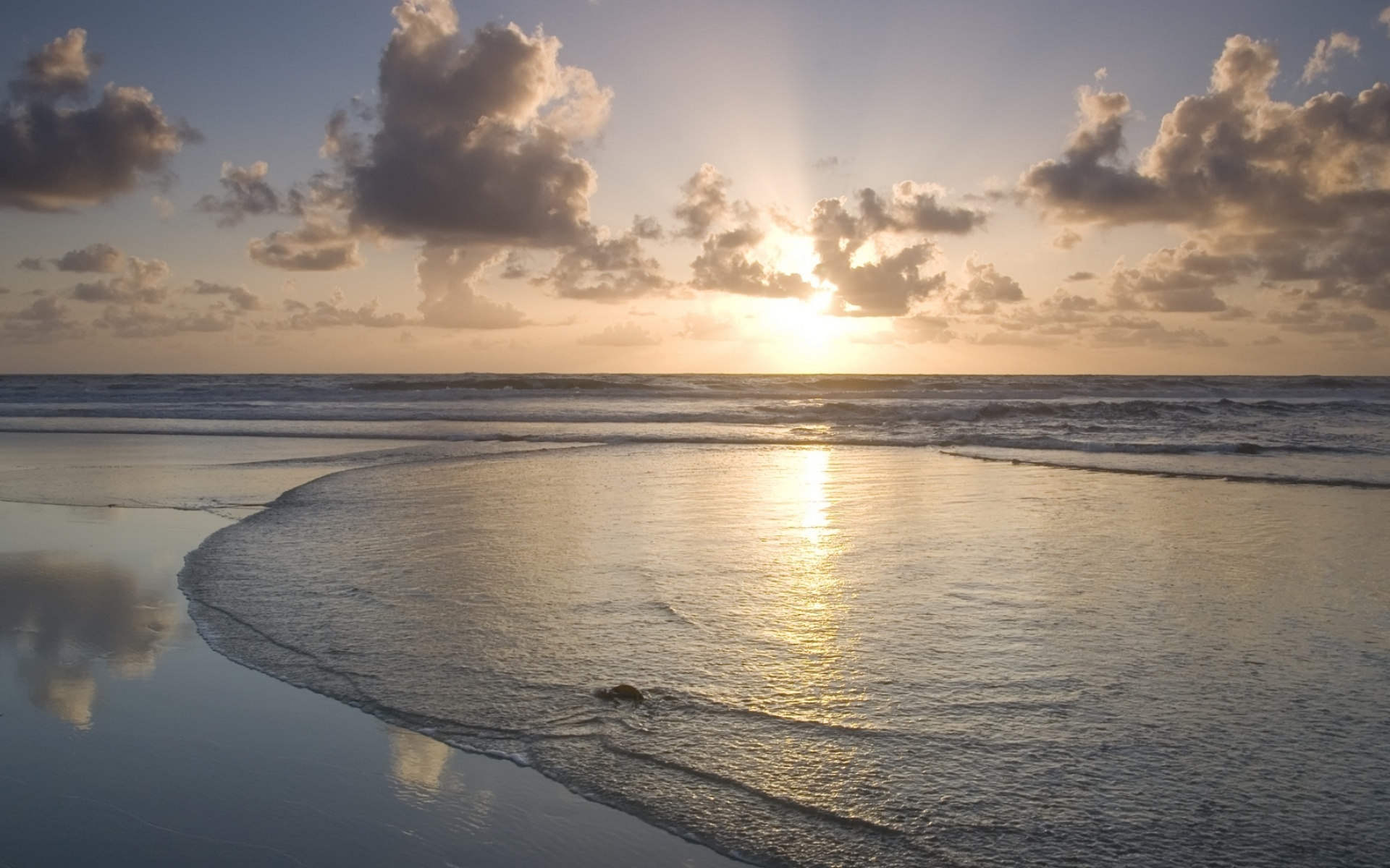 黄金,海岸,精美,宽屏,日落,日出,2012Y十月30D,儿童桌面专用