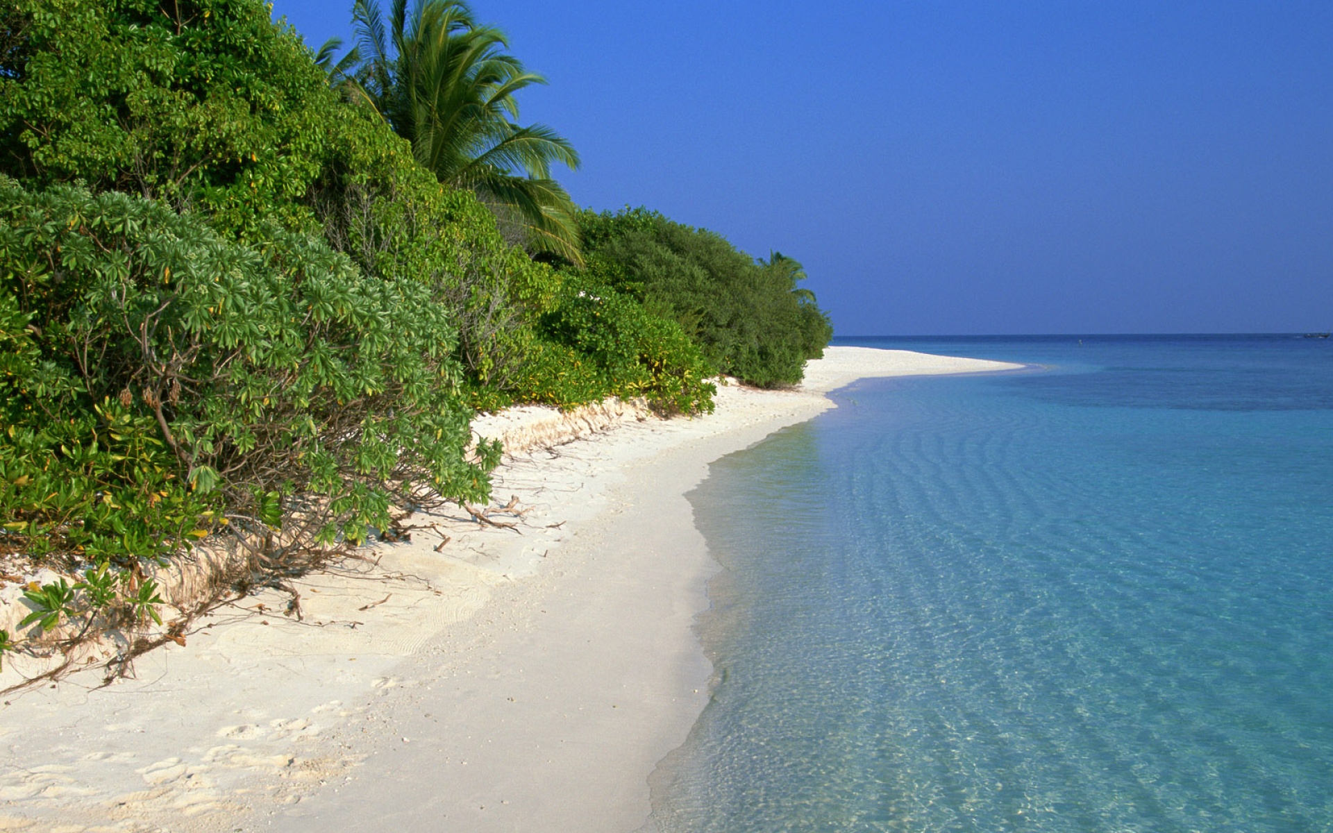 风景,海洋天堂,2012Y十一月11D,儿童桌面专用