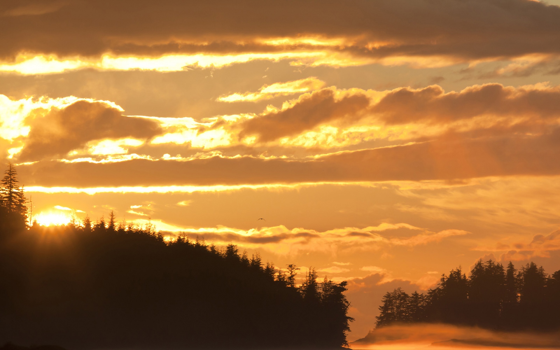 Webshots,2010年,十一月,精美,风光,动物,摄影,2012Y十月31D,儿童桌面专用