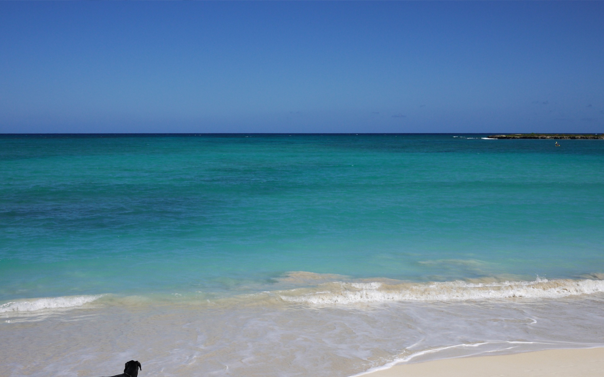 风景,海洋天堂,2012Y十月31D,儿童桌面专用