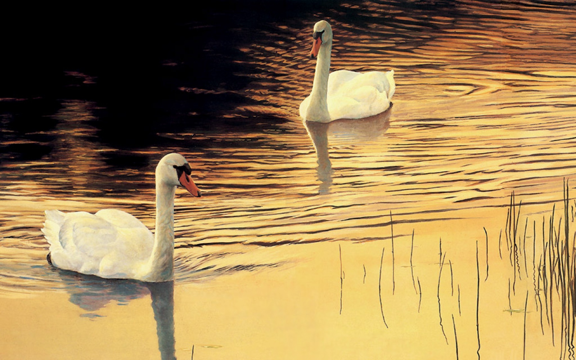 动物,绘画,风格,2012Y十一月04D,儿童桌面专用