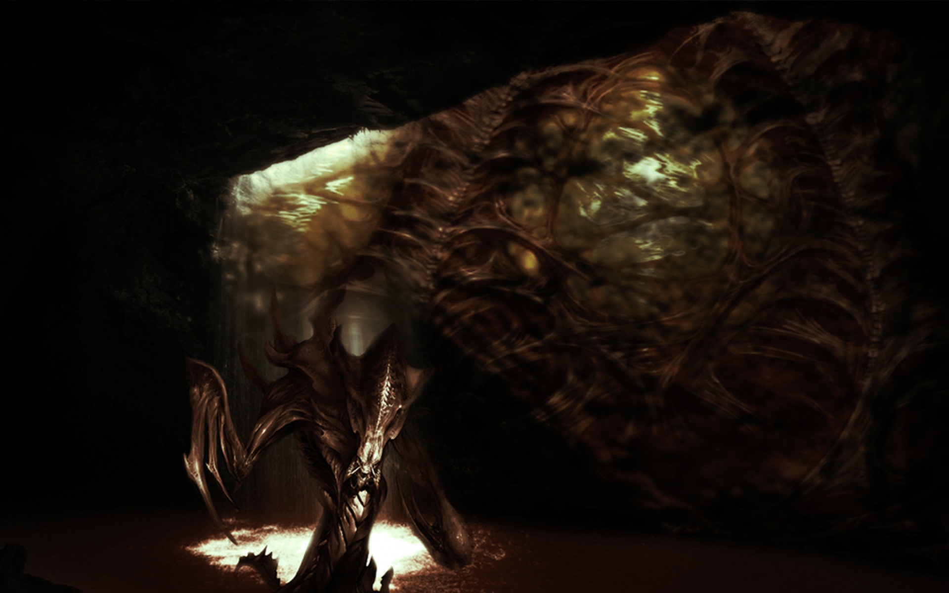 星际,争霸,游戏,2012Y十一月11D