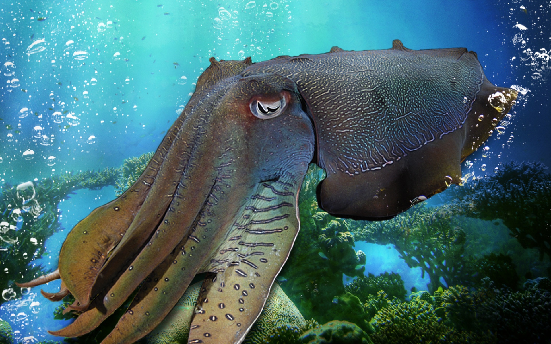 电影,影视,2012Y十一月08D