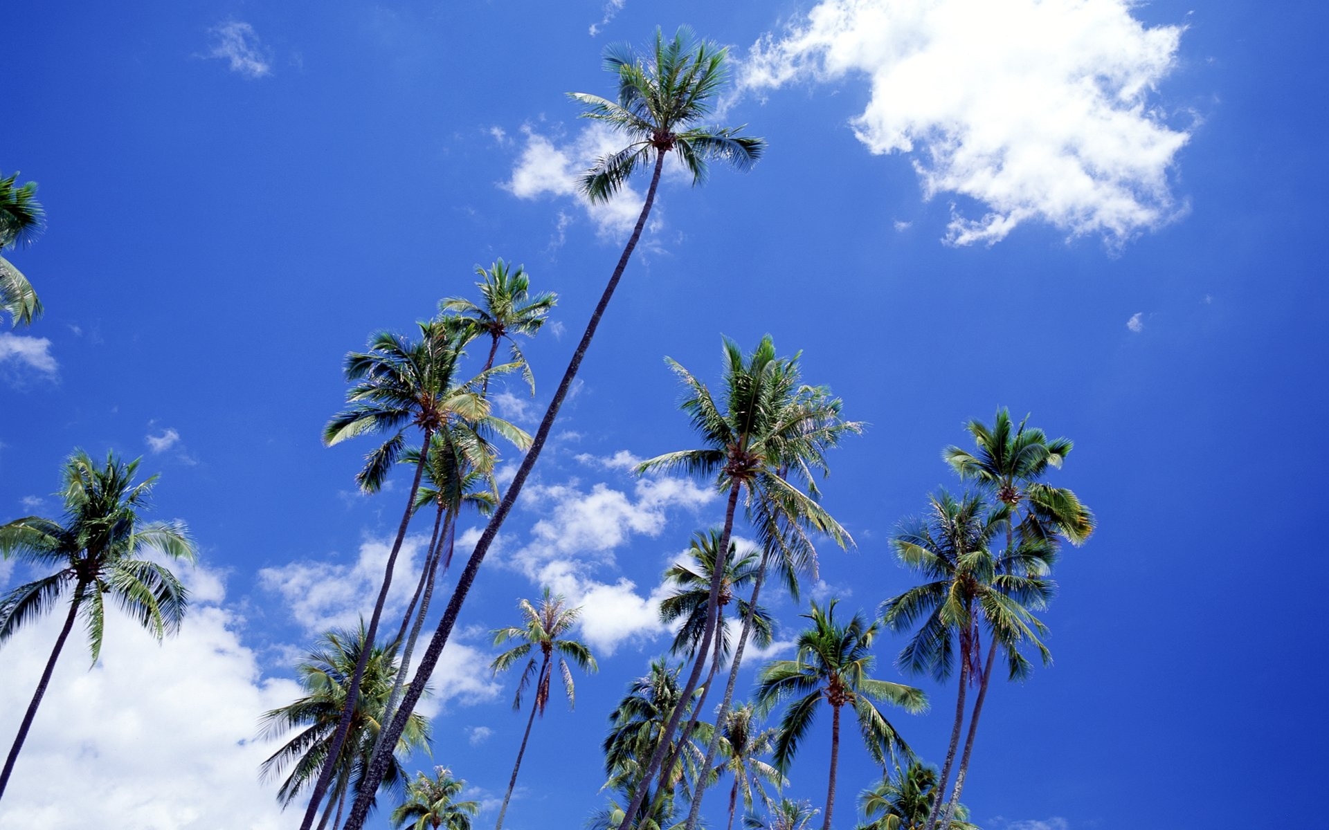 风景,蓝天白云,2012Y十月30D,儿童桌面专用