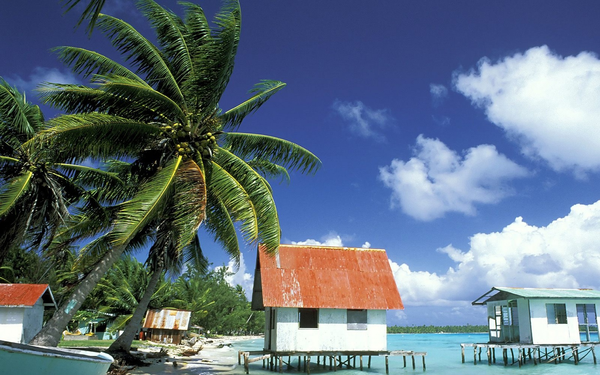 风景,海洋天堂,2012Y十一月04D,儿童桌面专用