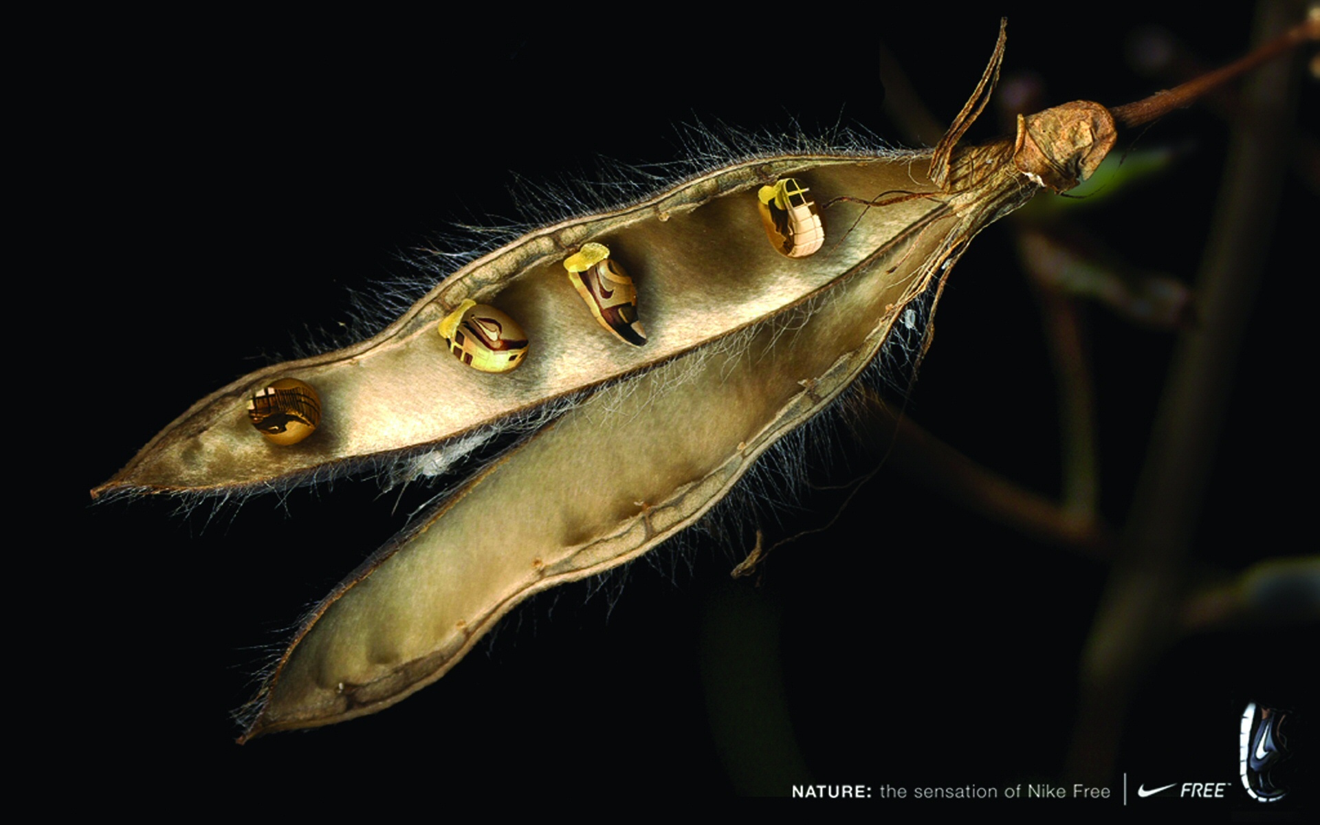 FWA,创意,设计,高清,2012Y十一月03D,儿童桌面专用