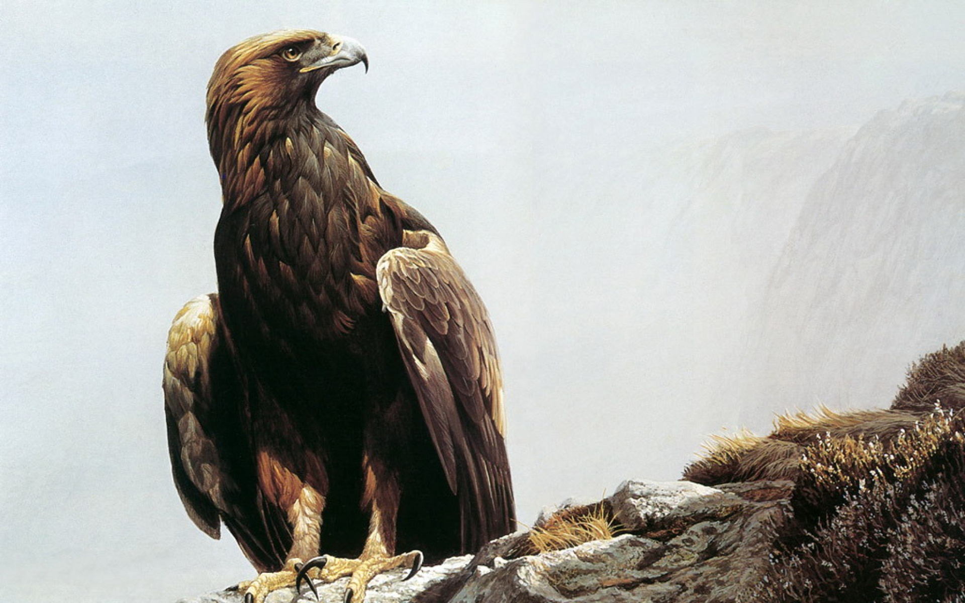 动物,绘画,风格,2012Y十一月04D,儿童桌面专用