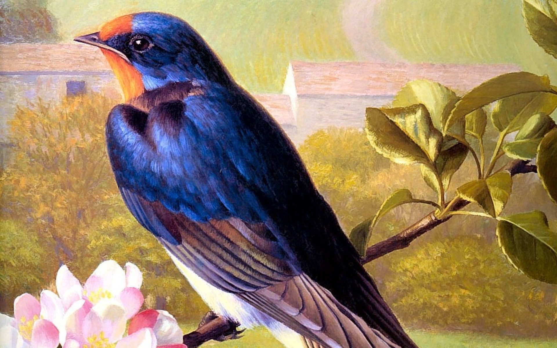 动物,绘画,风格,2012Y十一月08D,儿童桌面专用