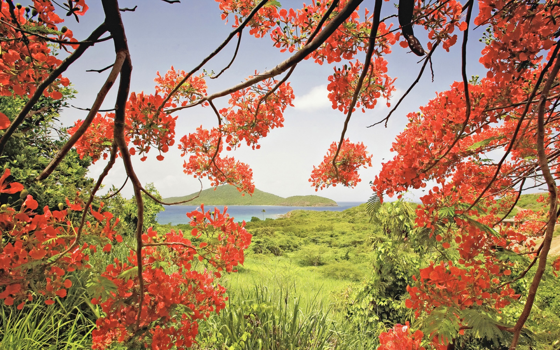 Webshots,2010年,十一月,精美,风光,动物,摄影,2012Y十月31D,儿童桌面专用