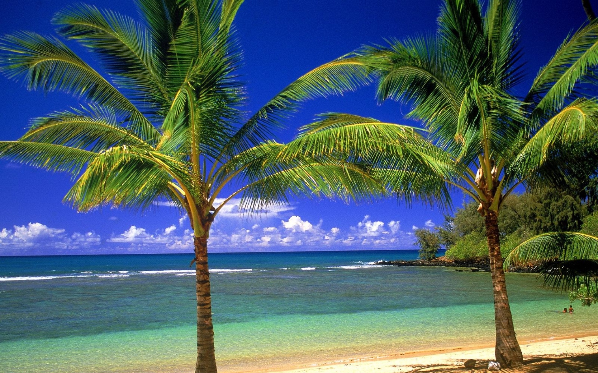 风景,海洋天堂,2012Y十一月04D,儿童桌面专用