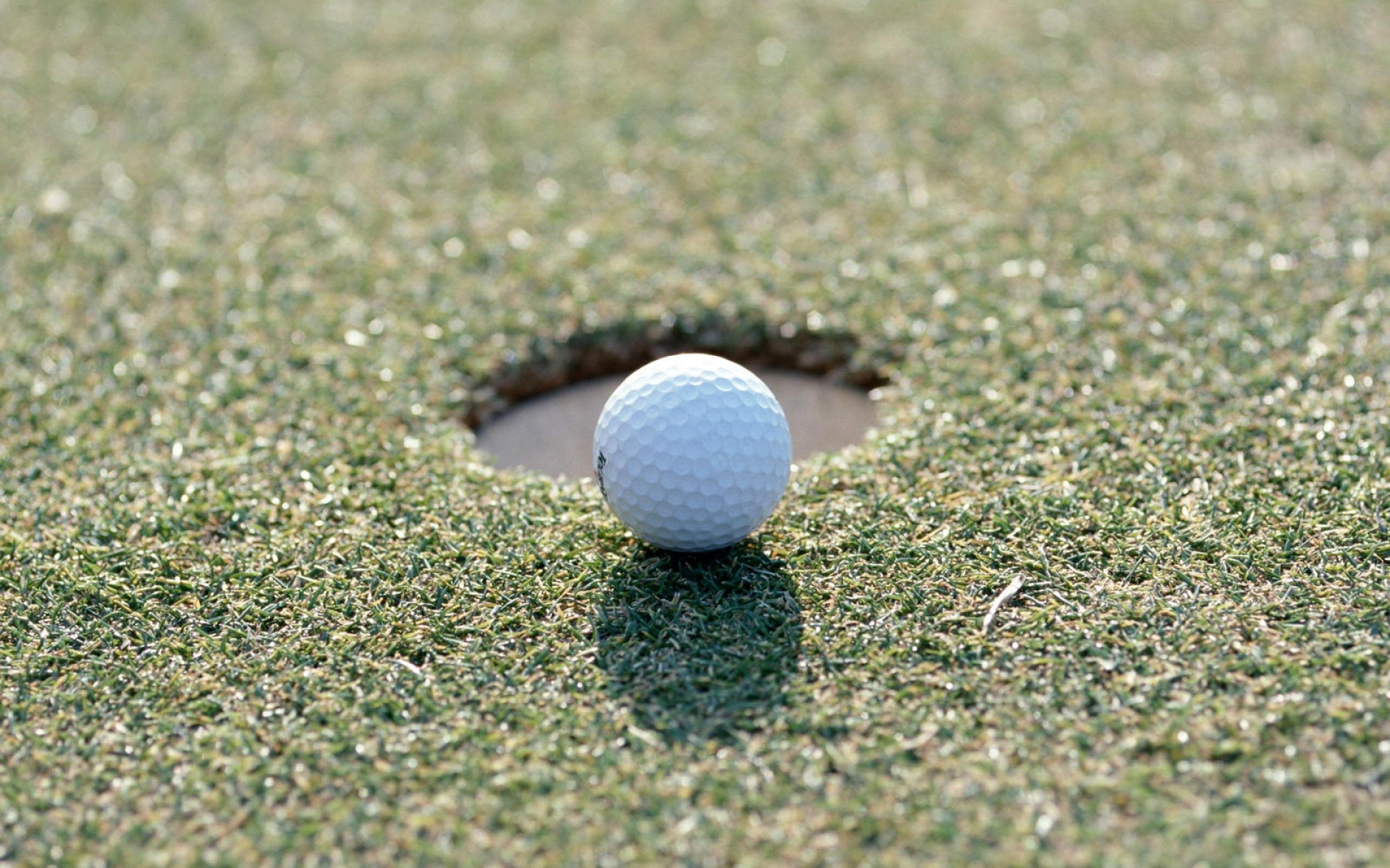 运动,2012Y十一月12D