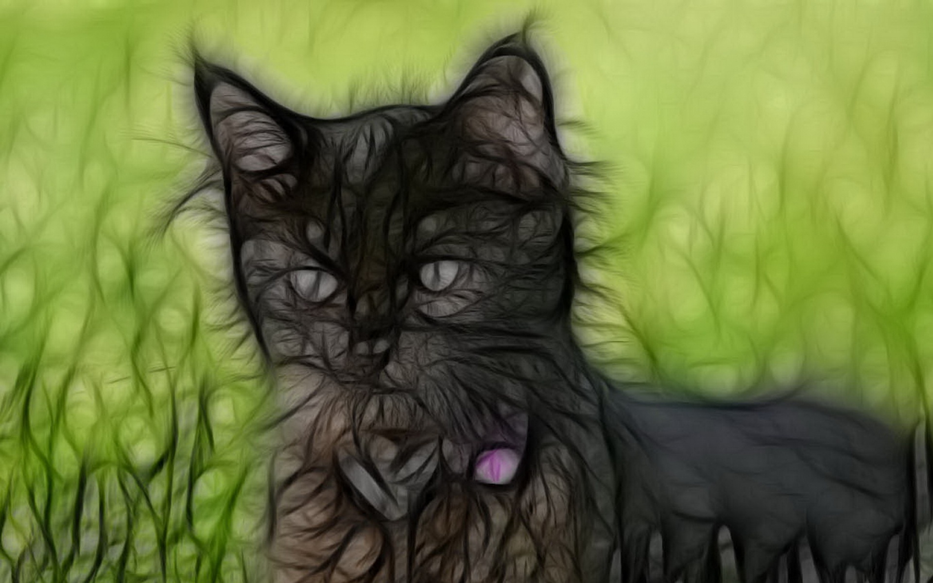 光线,描绘,猫科,动物,2012Y十一月04D,儿童桌面专用