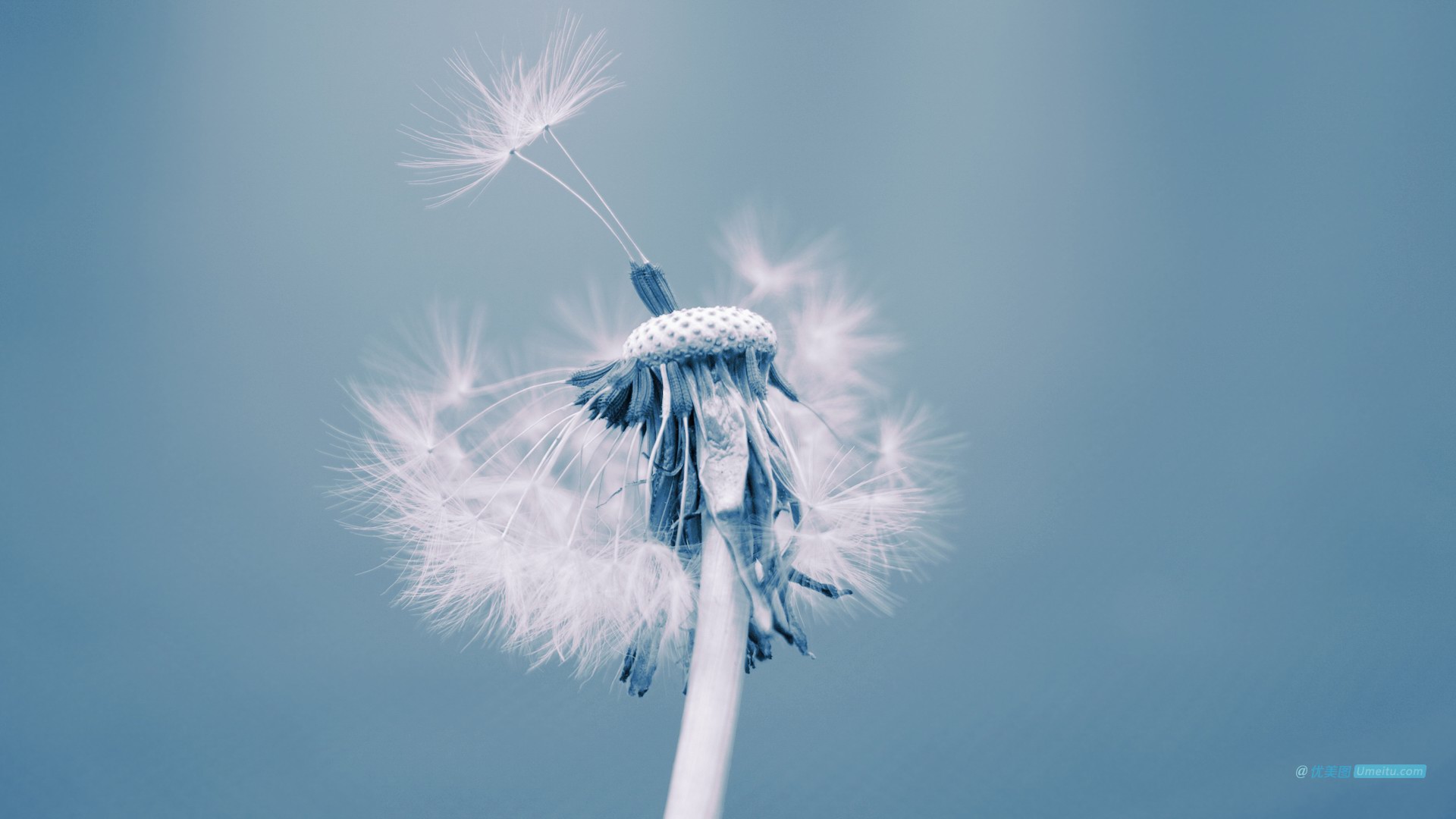 小清新,护眼壁纸,儿童桌面专用