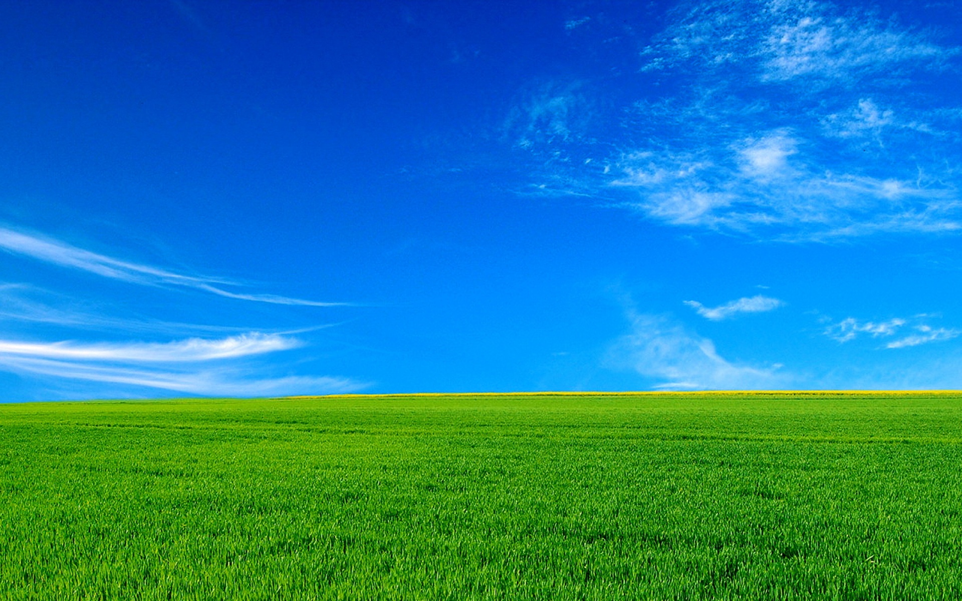 风景,碧绿草原,2012Y十月30D,儿童桌面专用