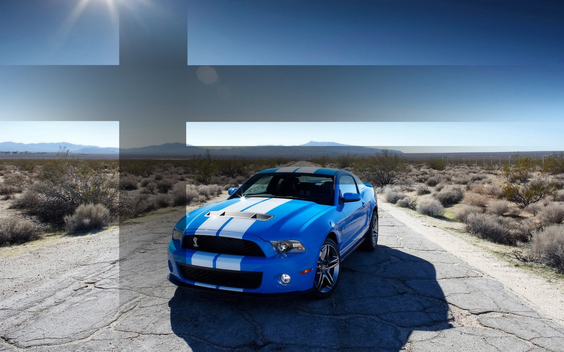 汽车,福特,眼镜蛇,2012Y十月31D,儿童桌面专用