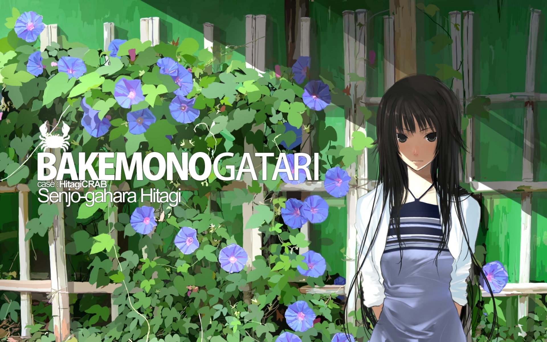 化物语,动漫,2012Y十一月03D,儿童桌面专用