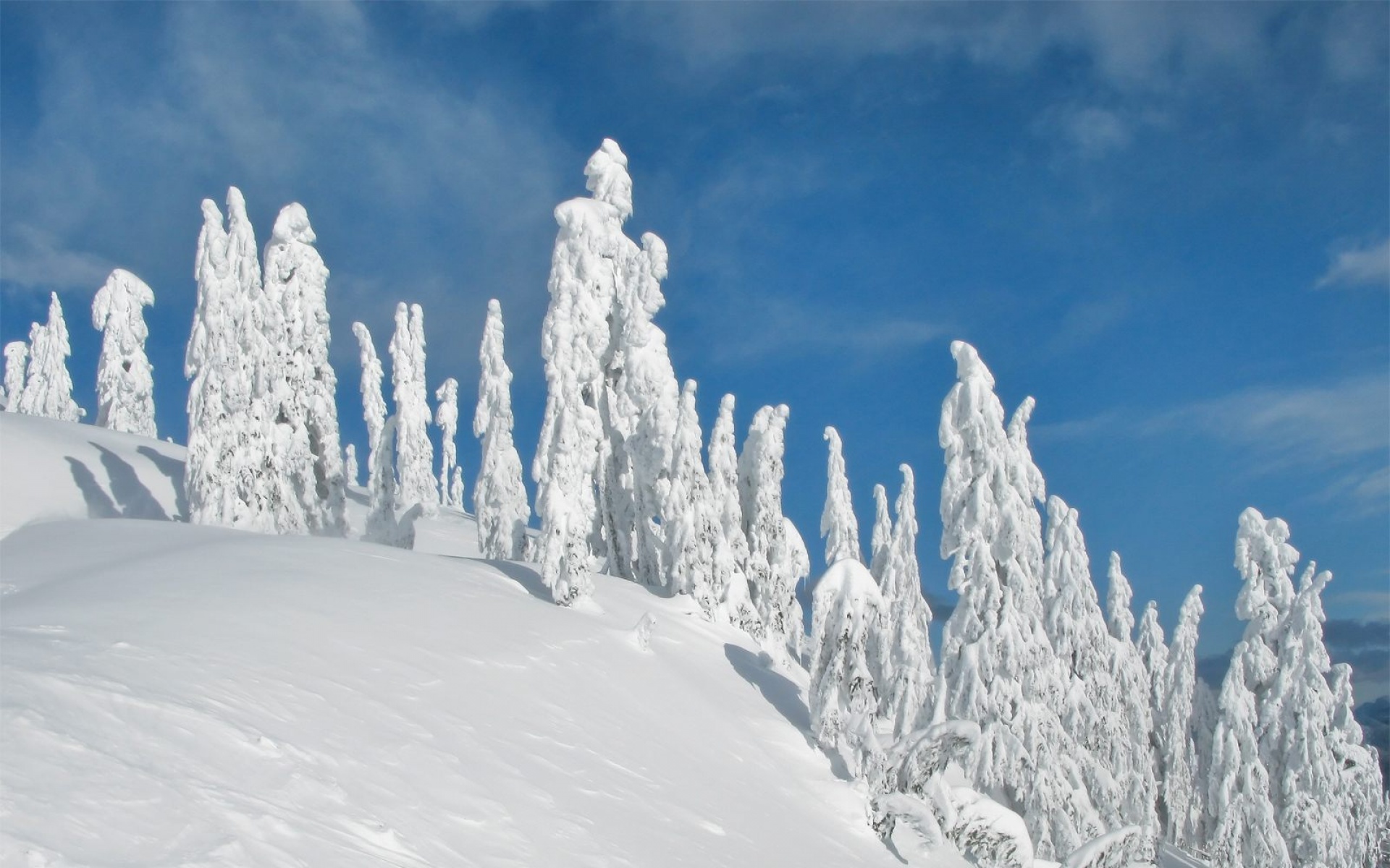 风景,冰天雪地,2012Y十一月04D,儿童桌面专用