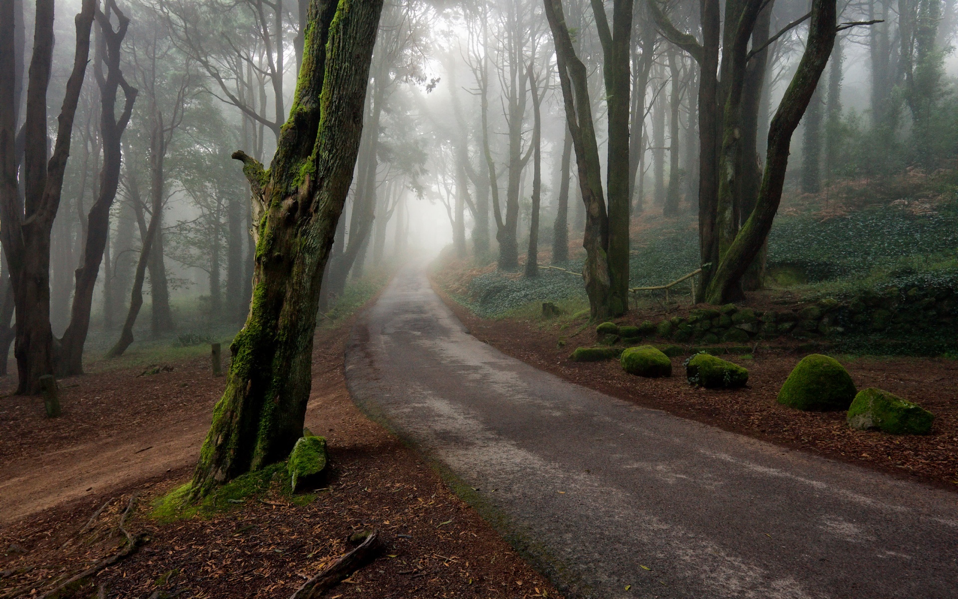风景,自然风光,2012Y十一月05D,儿童桌面专用