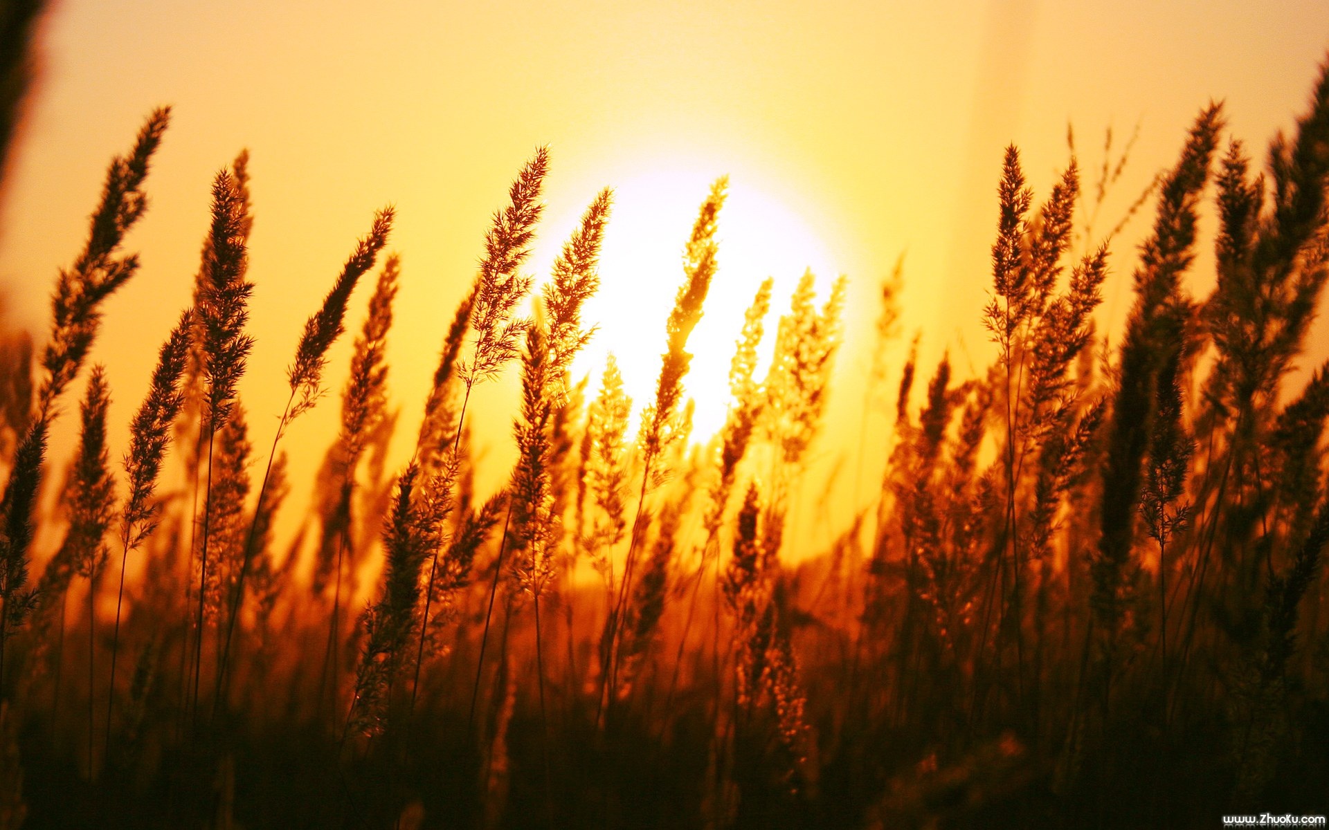 风景,自然风光,2012Y十一月05D,儿童桌面专用