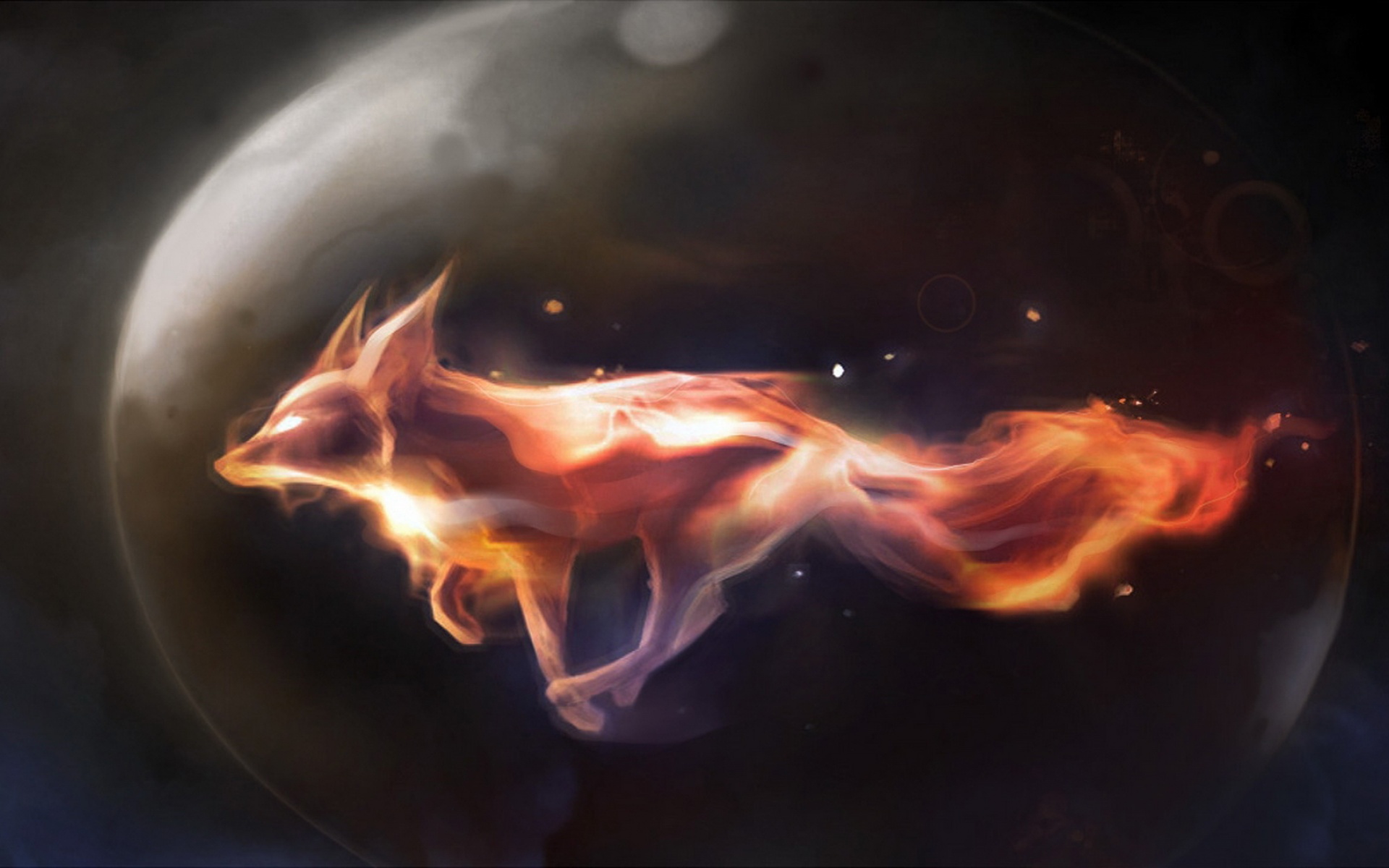 精美,猫,熊猫,艺术,设计,宽屏,2012Y十月31D,创意,儿童桌面专用