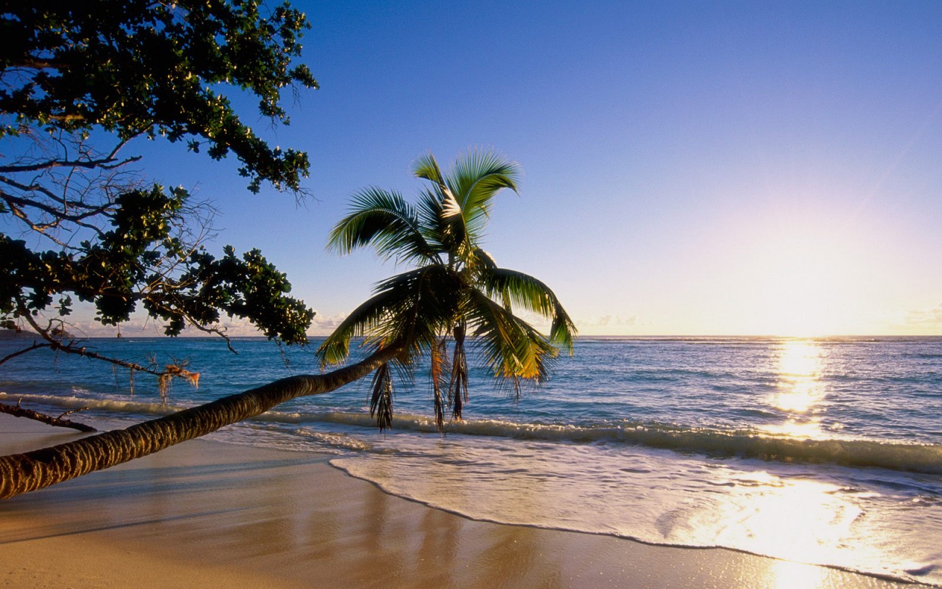 风景,海洋天堂,2012Y十一月04D,儿童桌面专用