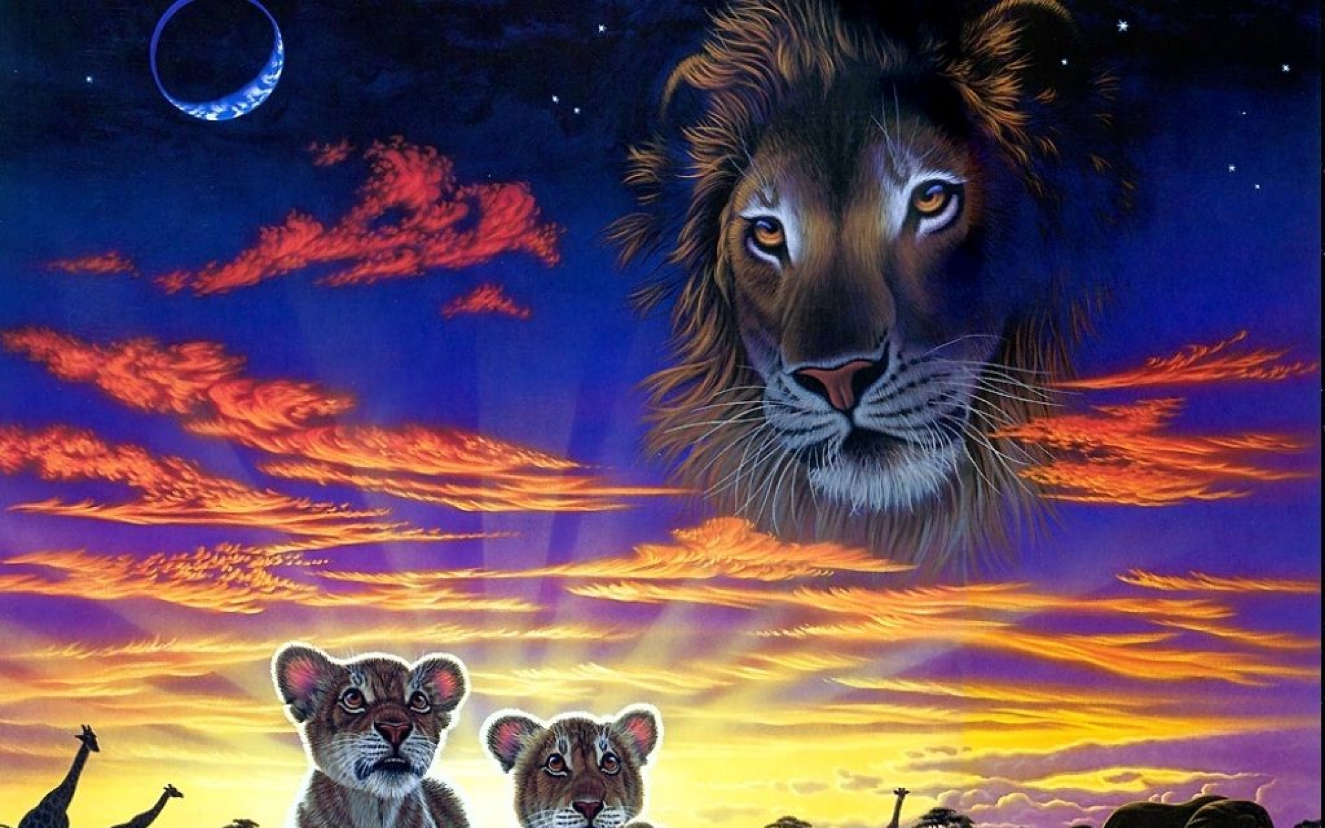 太空,动物,手绘,儿童桌面专用