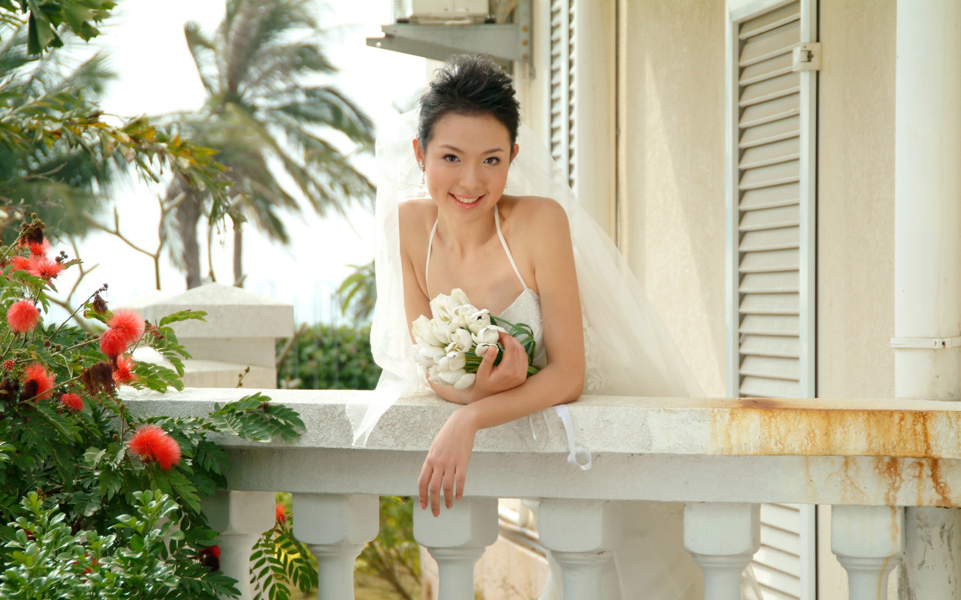 婚纱,摄影,美女,宽屏,2012Y十一月03D