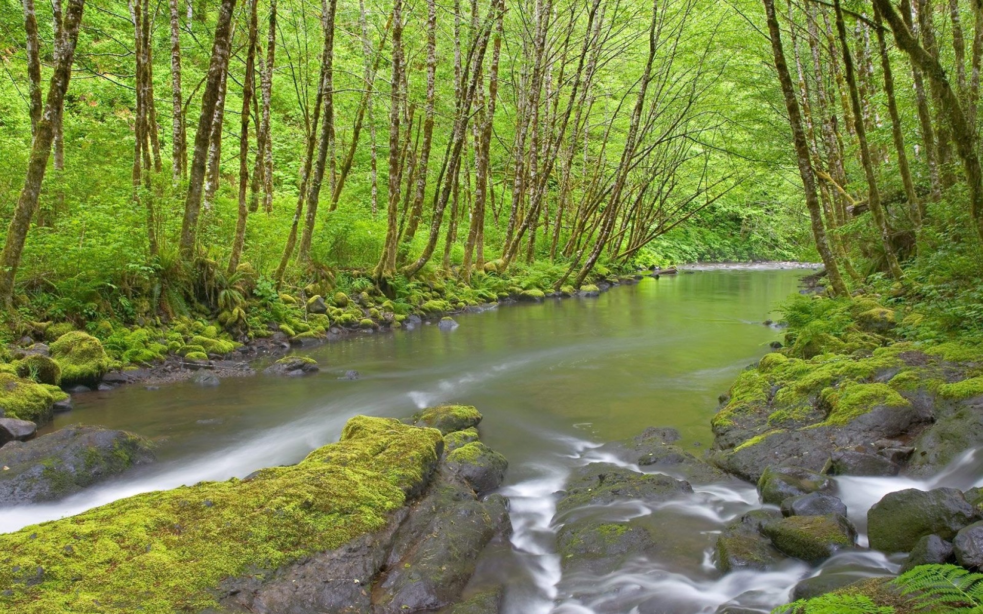 小清新,护眼壁纸,儿童桌面专用