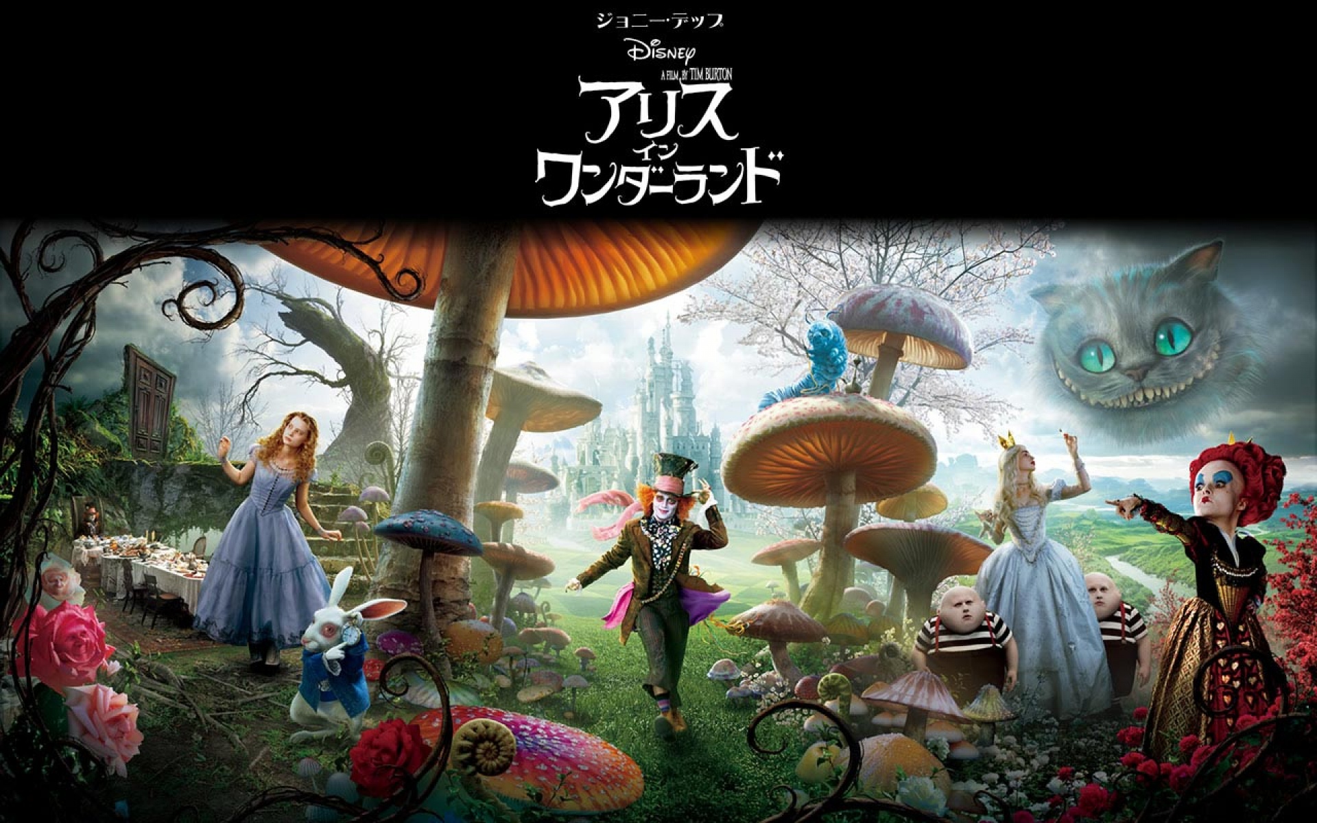 爱丽丝梦游仙境,影视,2012Y十一月04D