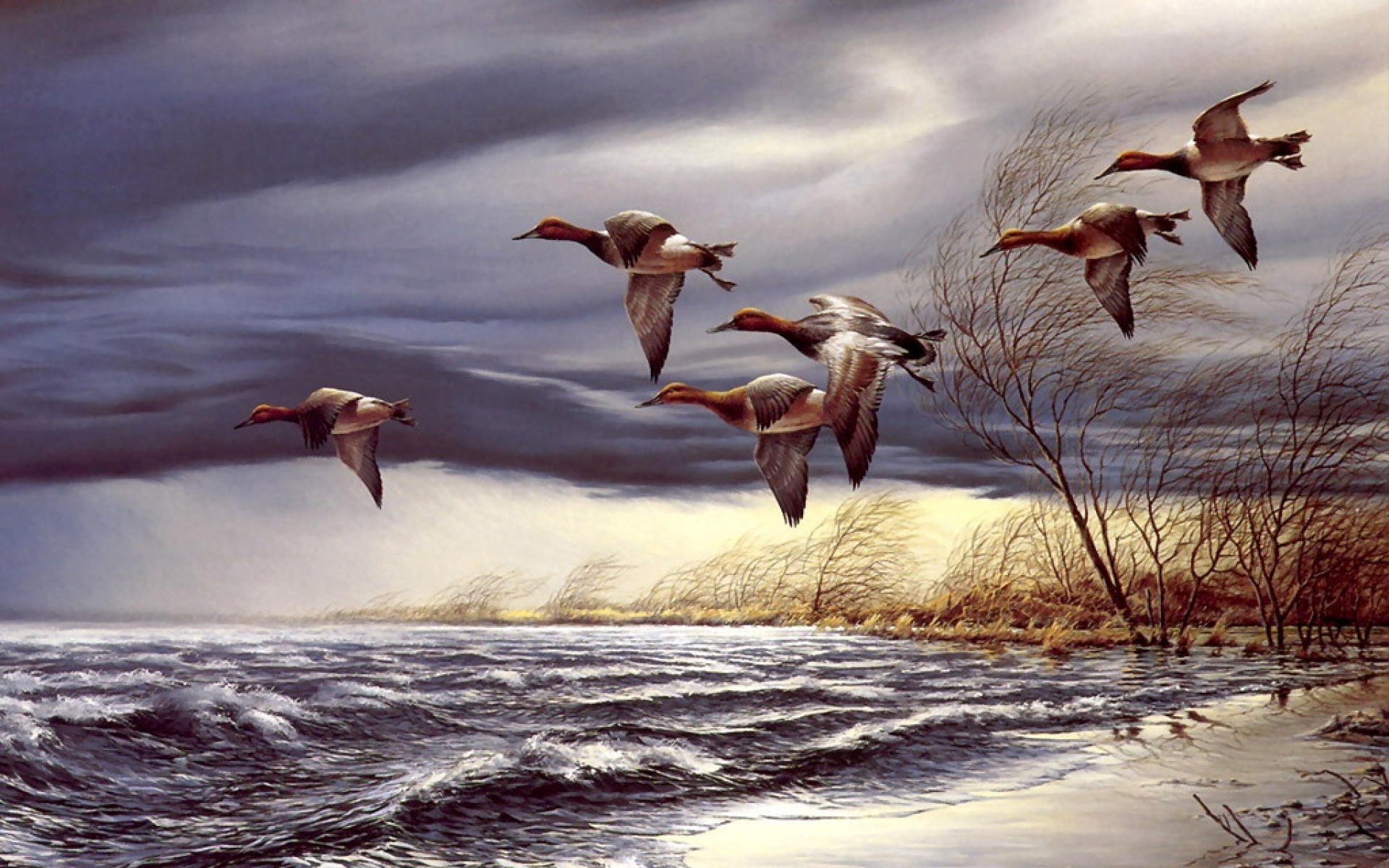 动物,绘画,风格,2012Y十一月04D,儿童桌面专用