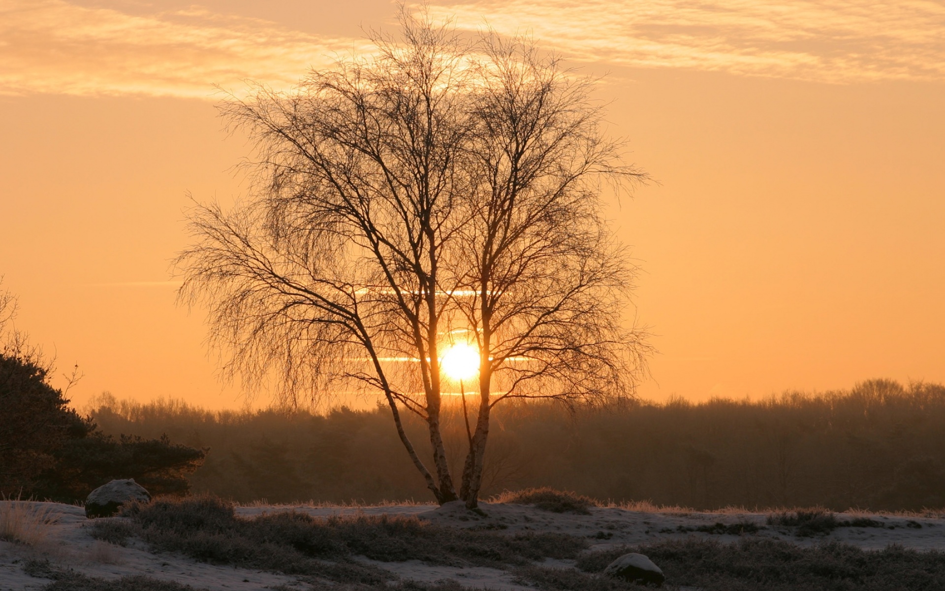 风景,落日余晖,2012Y十月30D,儿童桌面专用