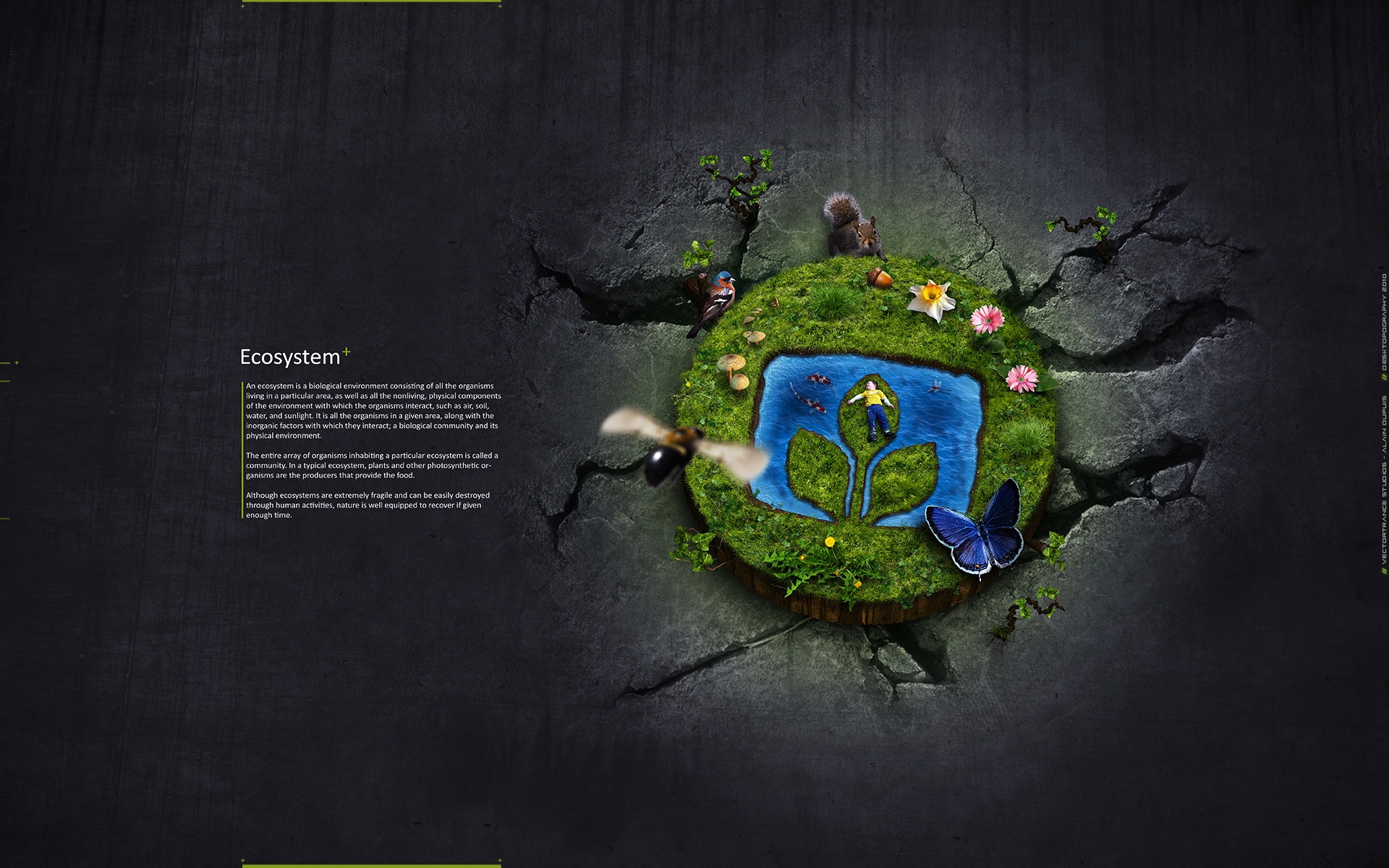 小清新,护眼壁纸