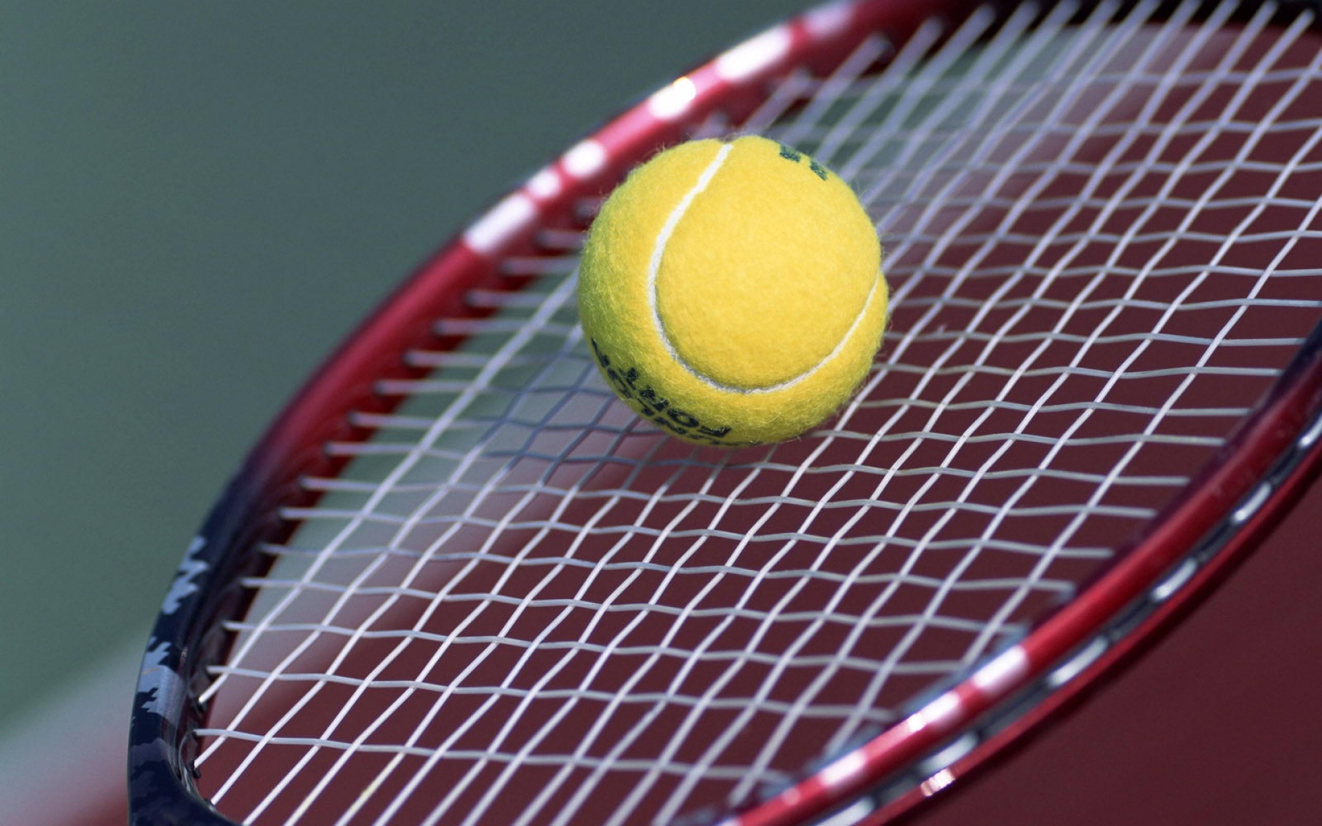 运动,2012Y十一月12D