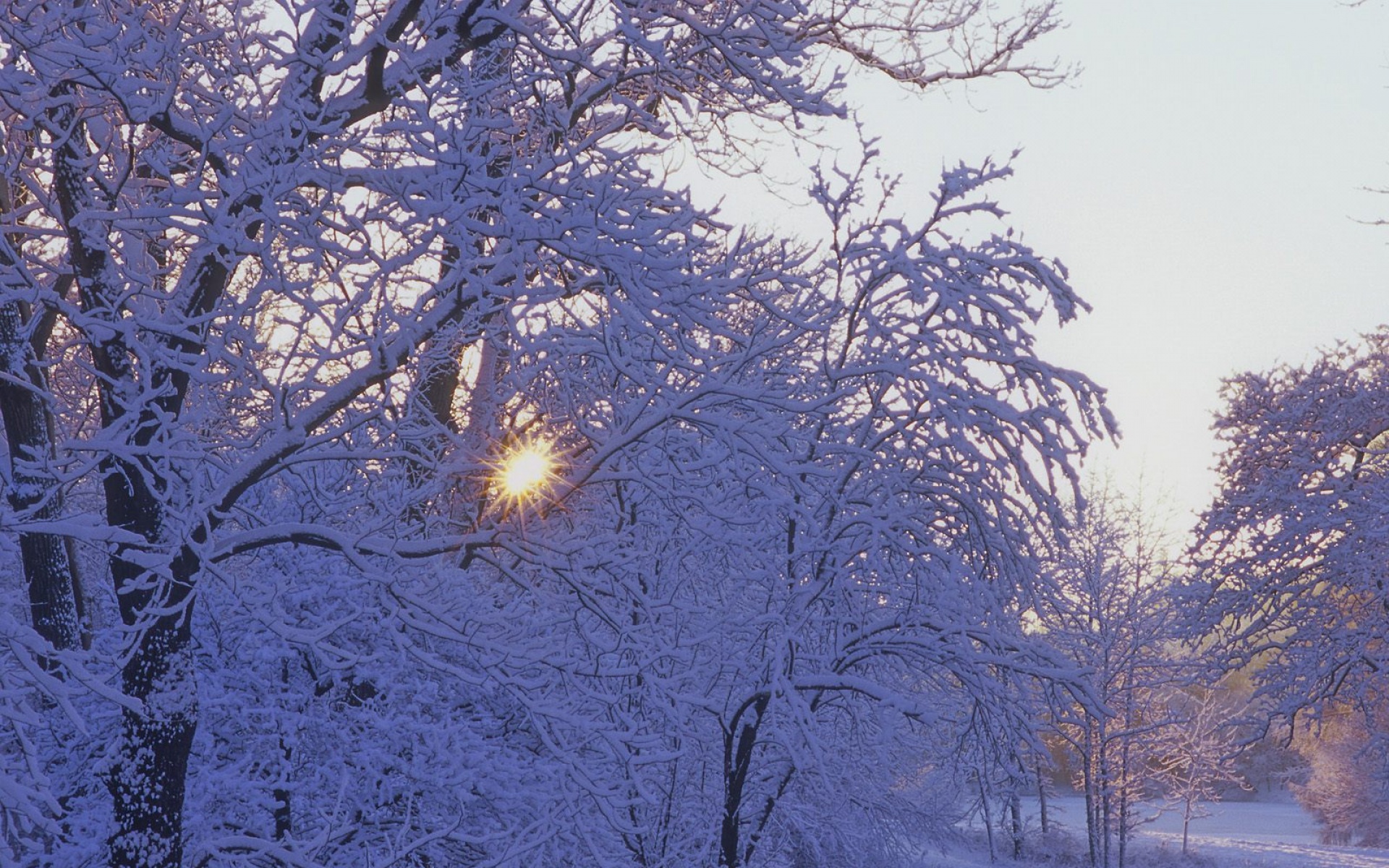 风景,冰天雪地,2012Y十一月12D,儿童桌面专用
