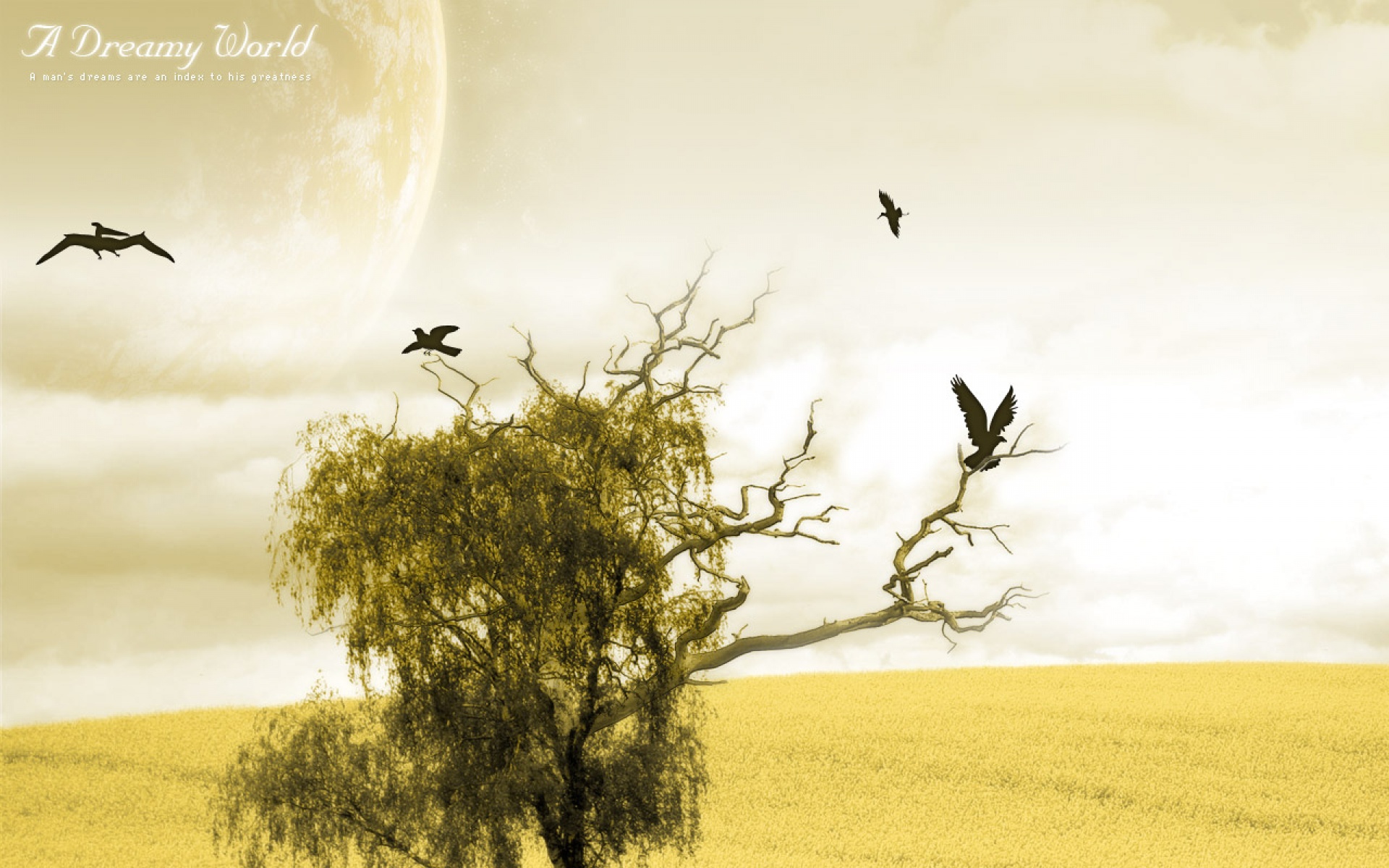 经典,A,Dreamy,World,梦幻,世界,艺术,设计,2012Y十月30D,创意,儿童桌面专用